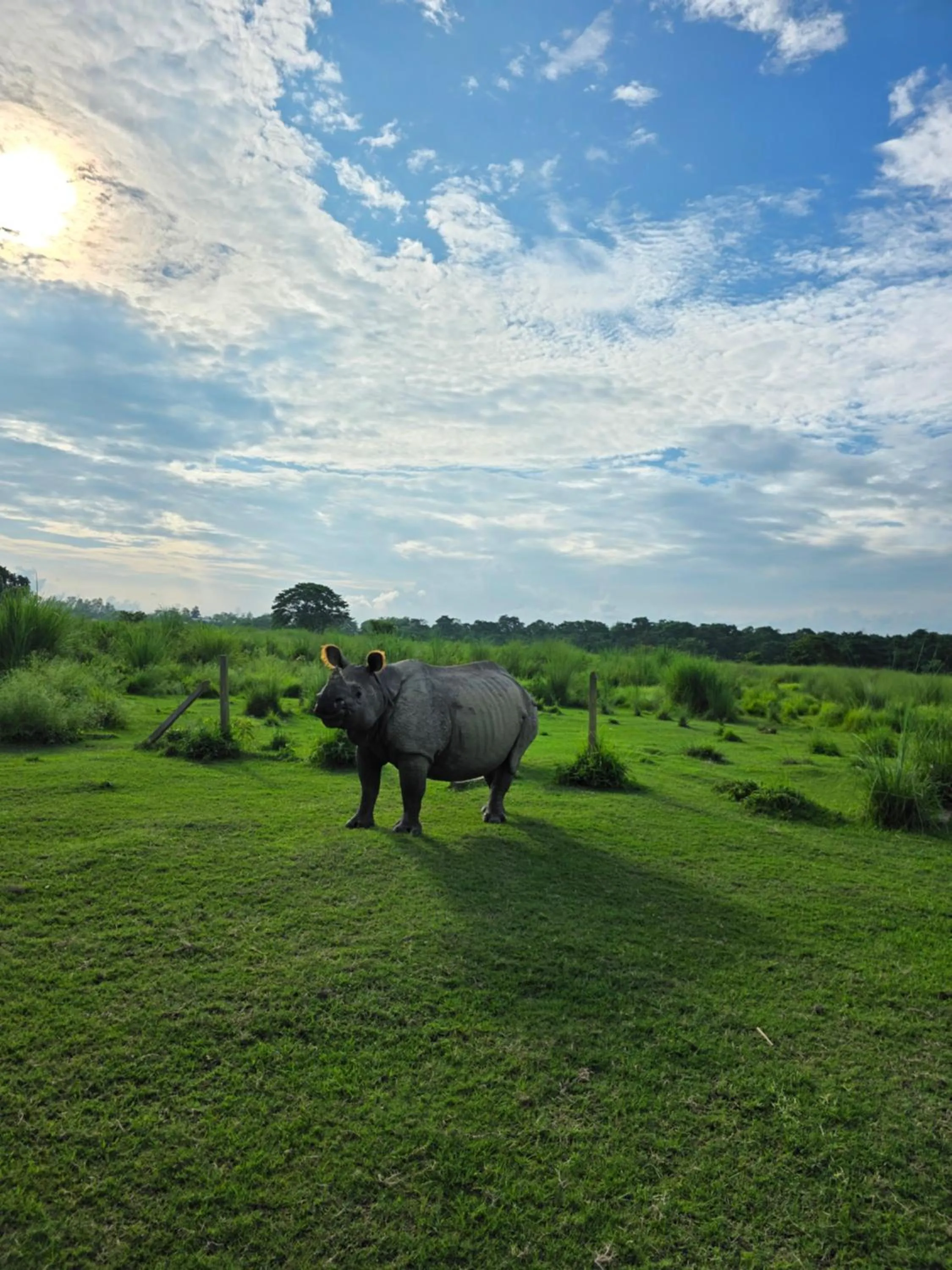 Day in Siddhartha Wildlife Retreat