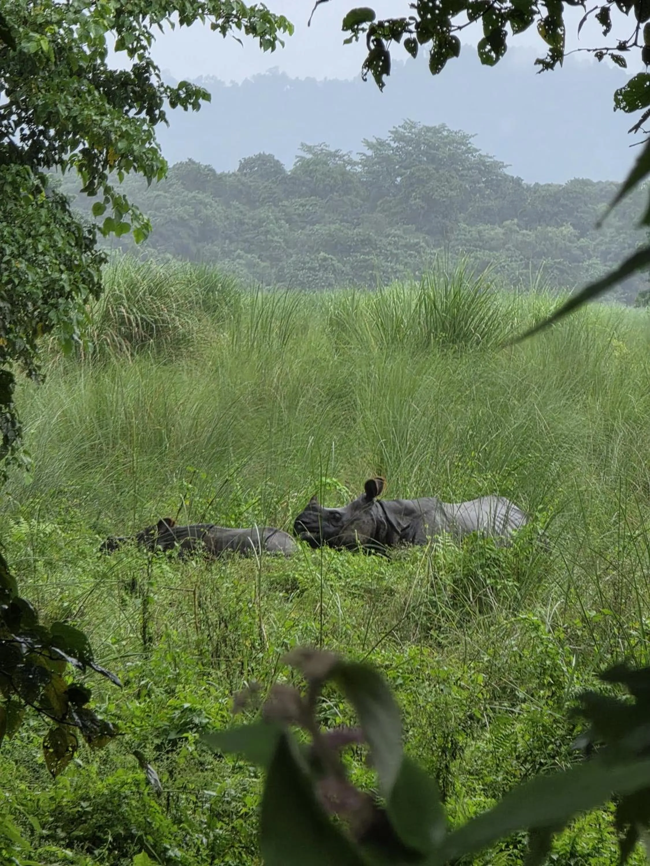 Natural landscape in Siddhartha Wildlife Retreat