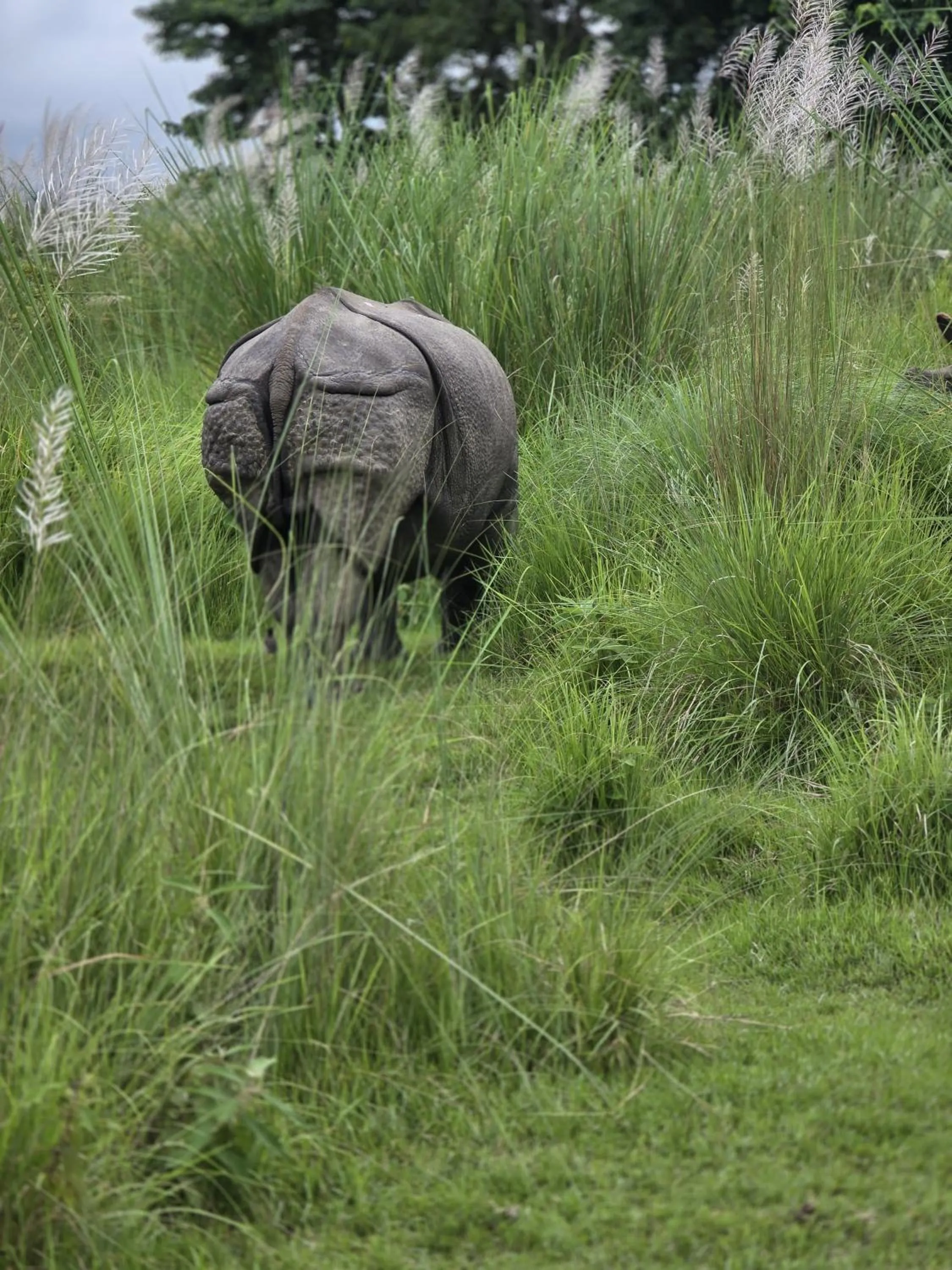 Day in Siddhartha Wildlife Retreat