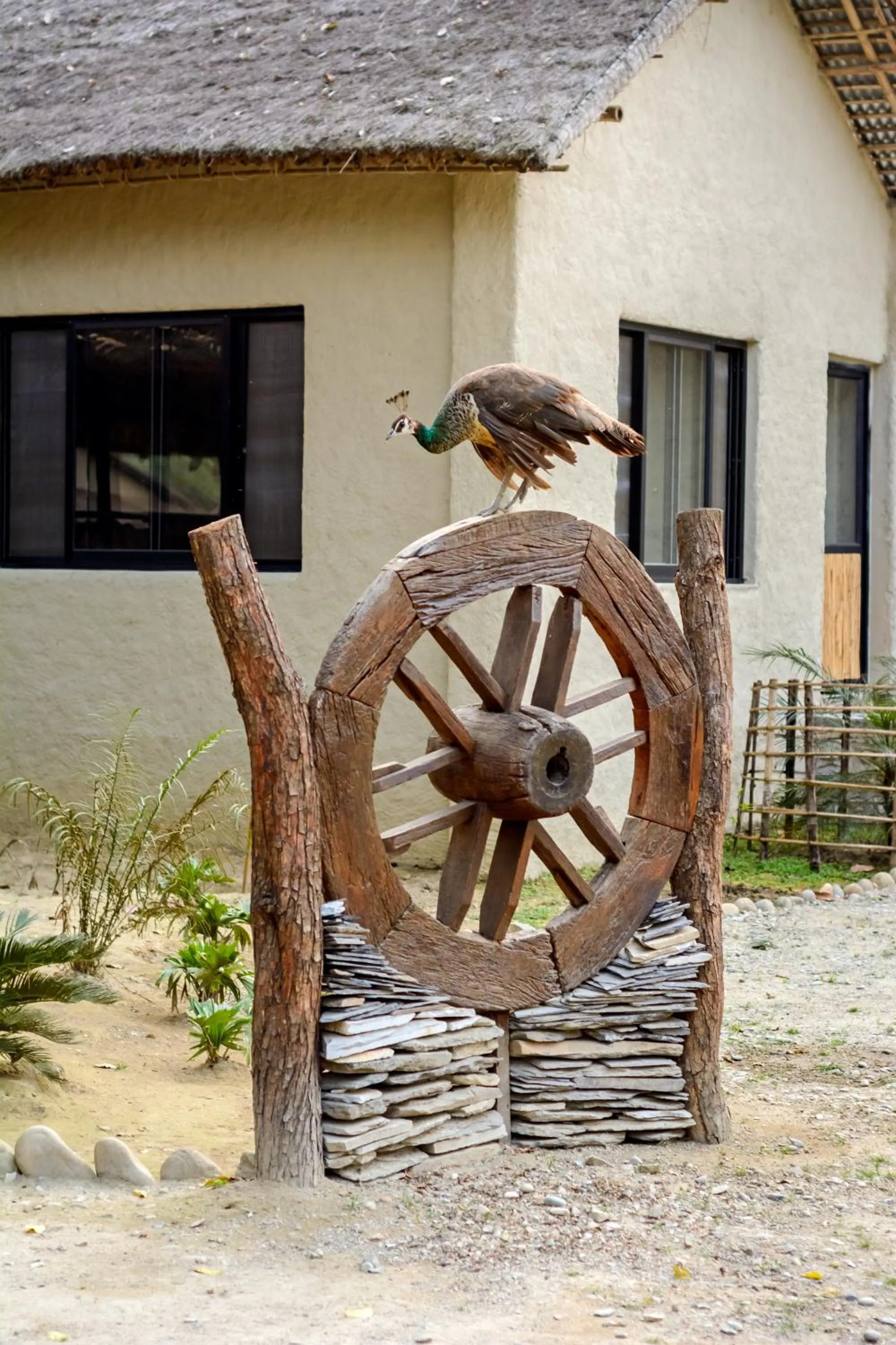 Patio in Siddhartha Wildlife Retreat