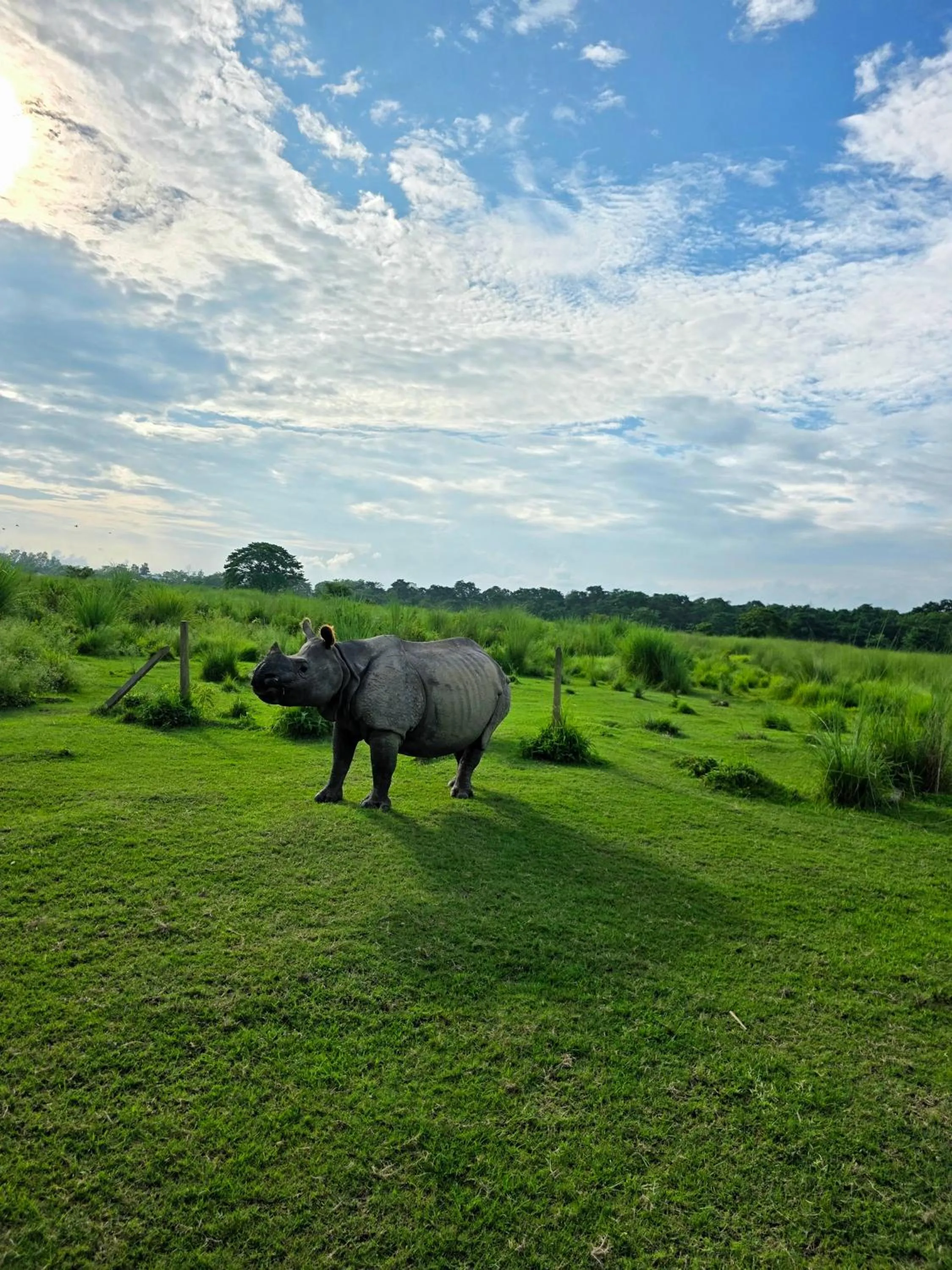 Activities in Siddhartha Wildlife Retreat