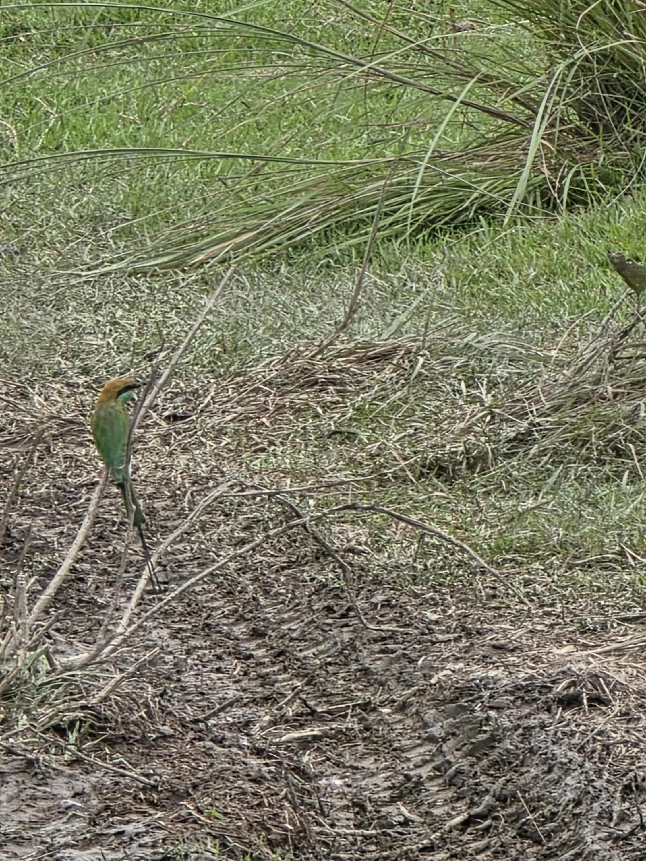 Natural landscape in Siddhartha Wildlife Retreat