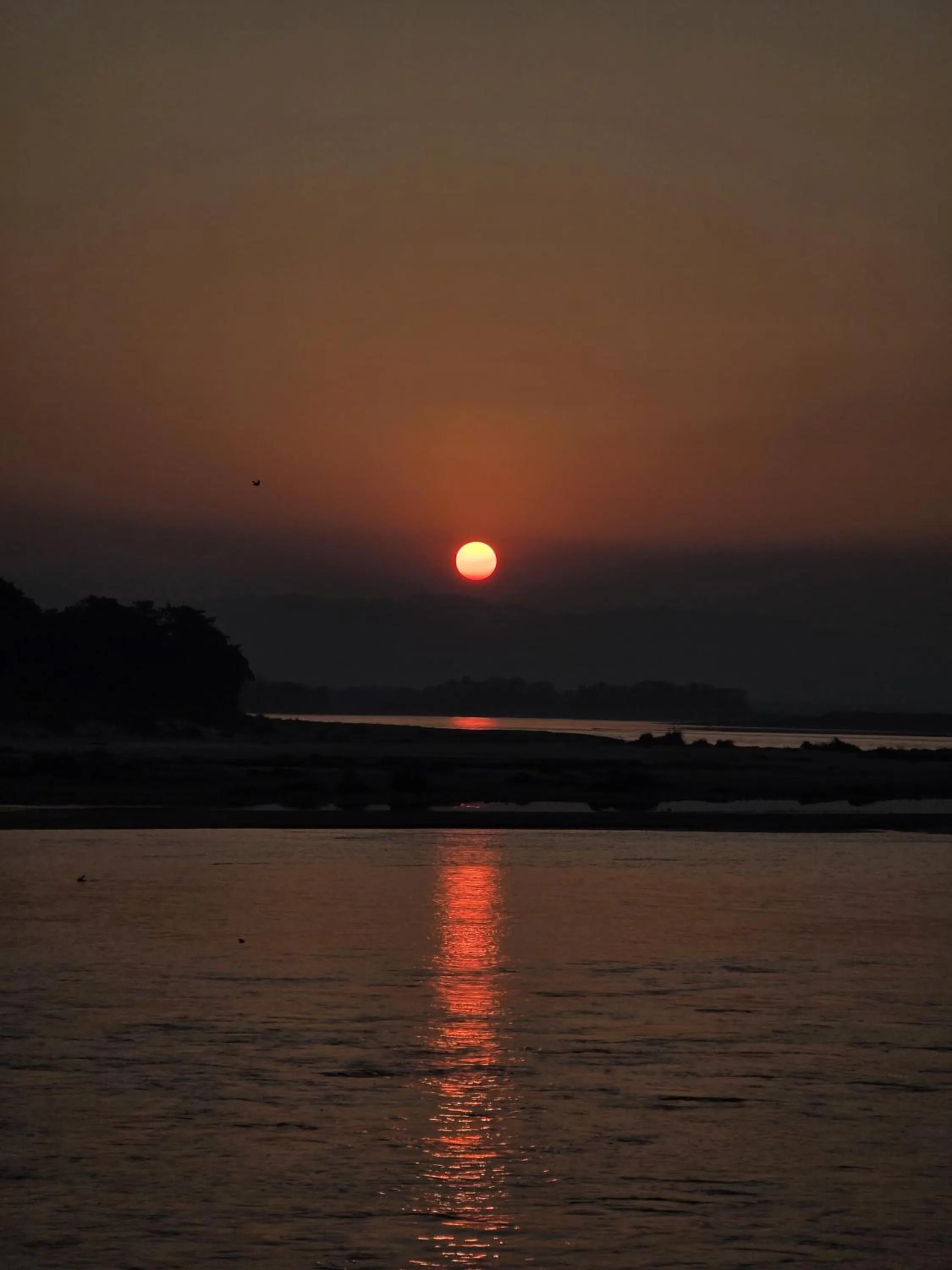 Natural landscape in Siddhartha Wildlife Retreat