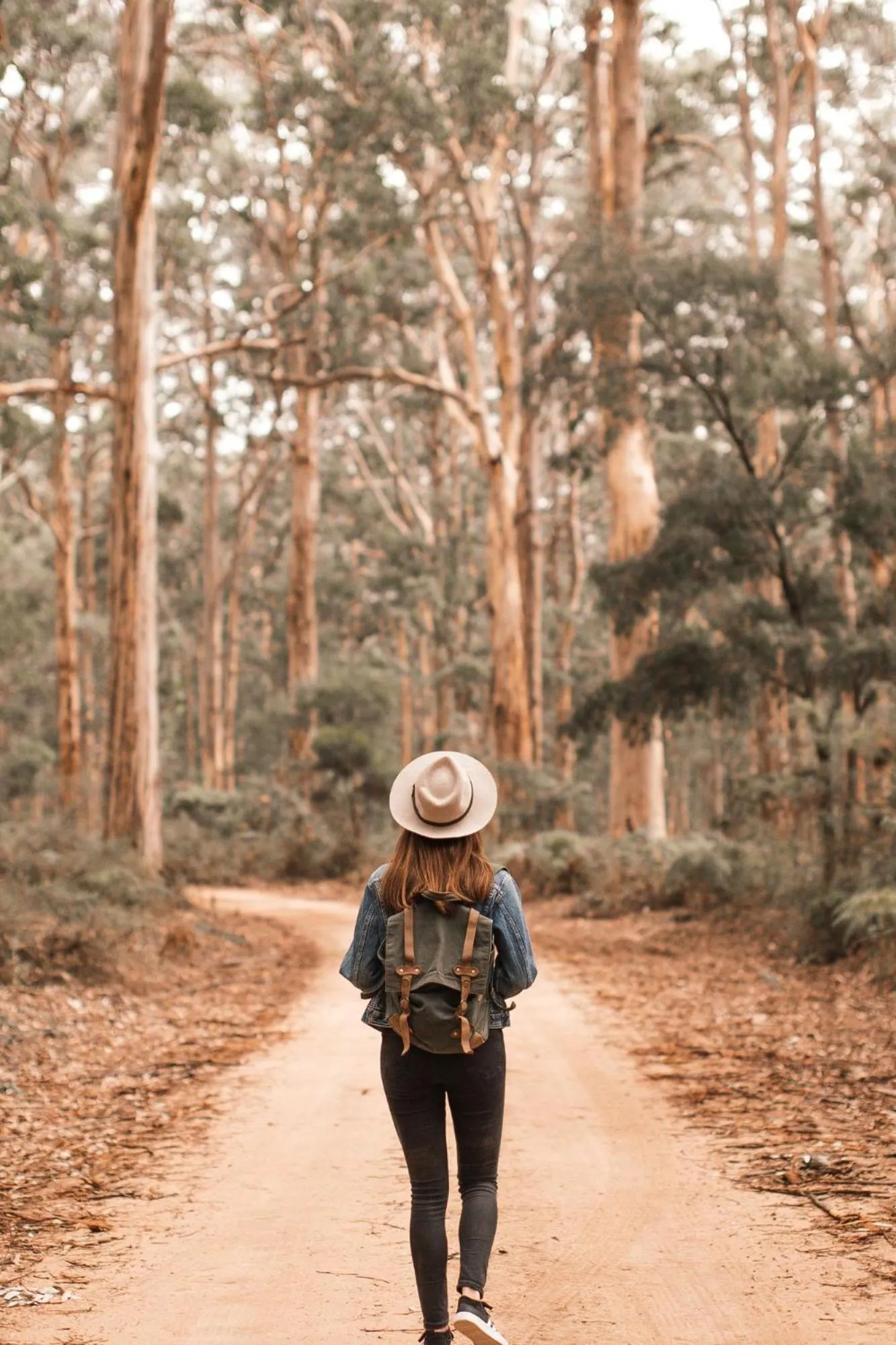 Natural landscape in Hotel Huize Koningsbosch