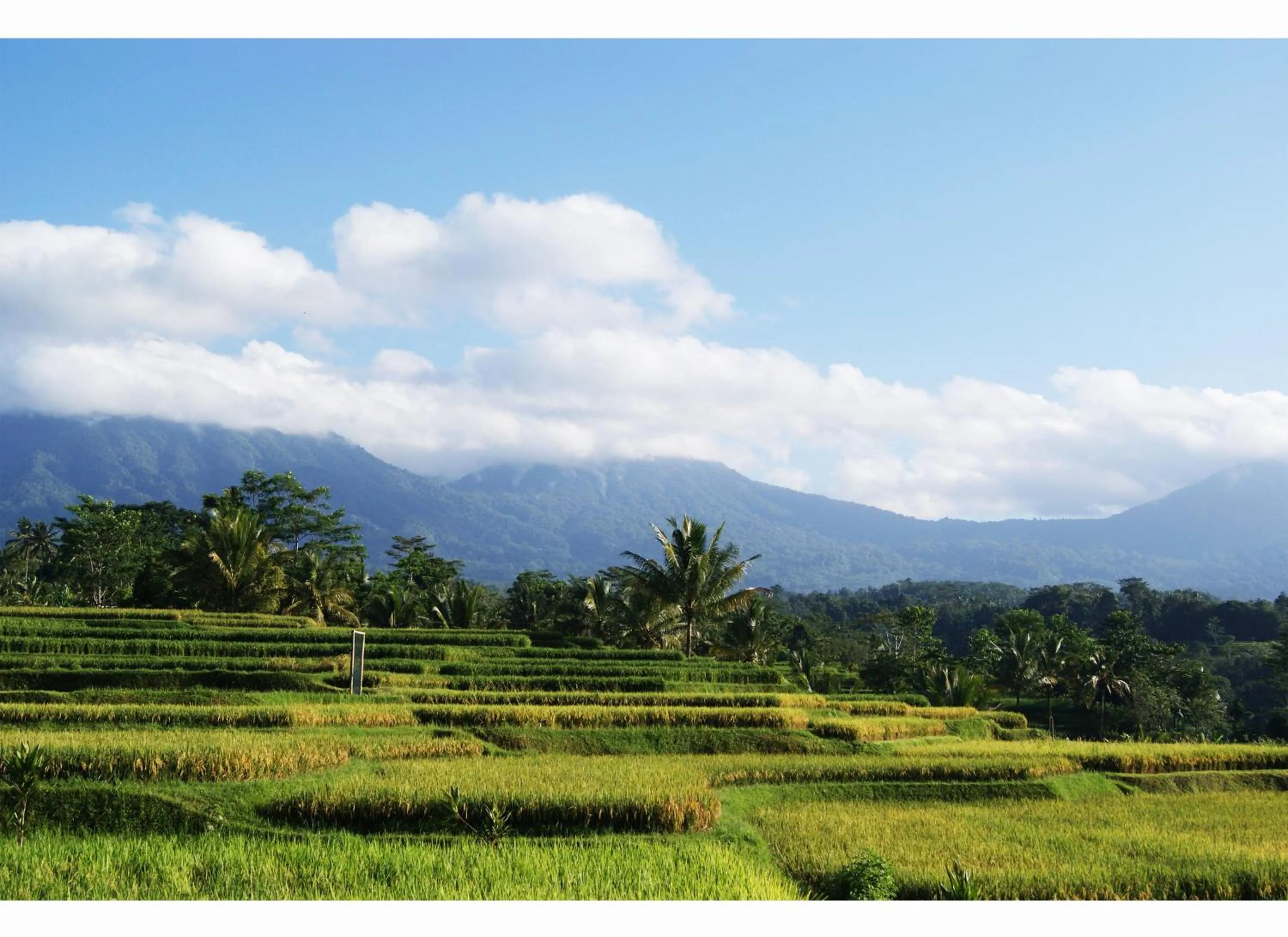 Neighbourhood in Ti Amo Bali