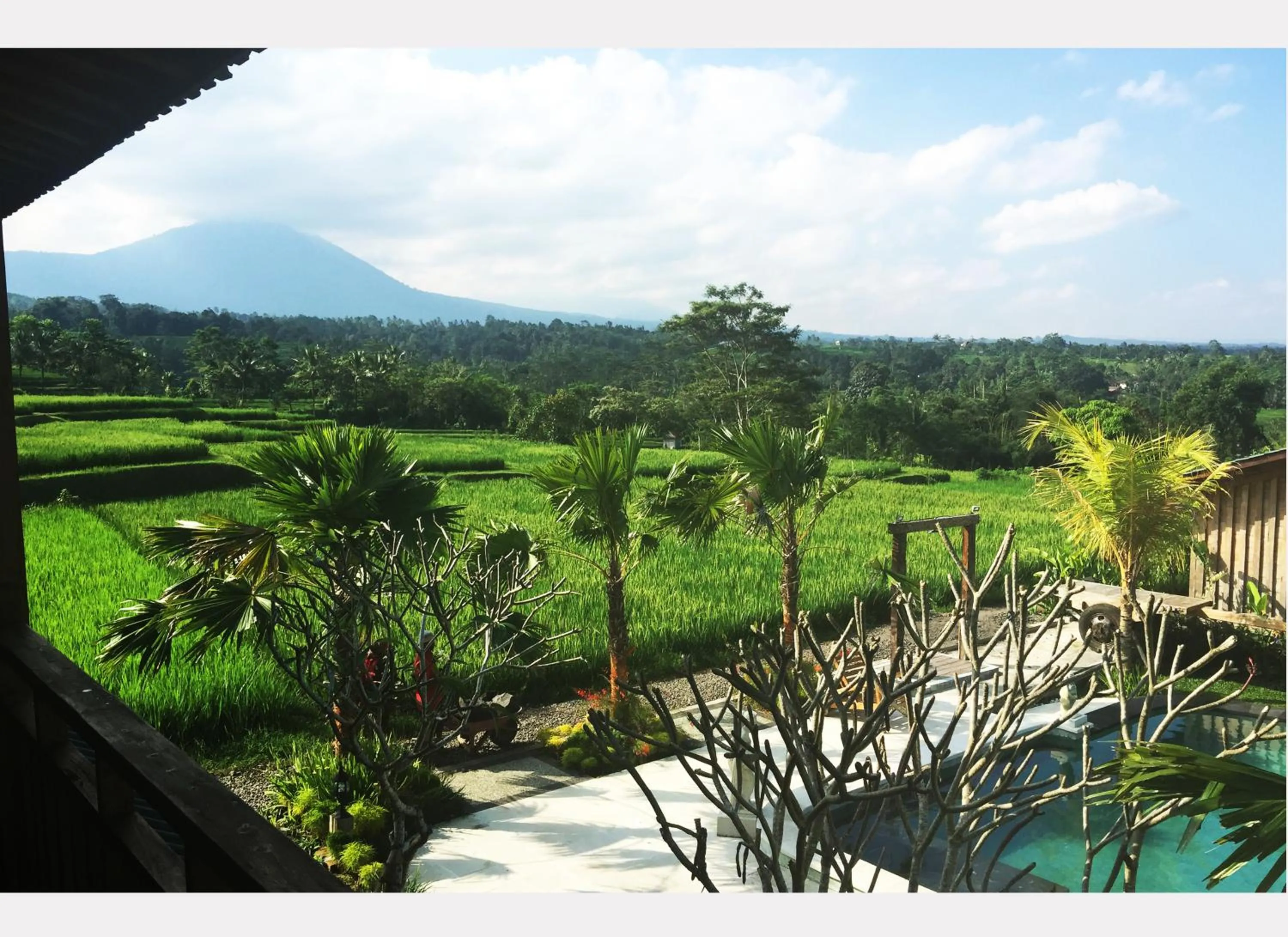 Patio in Ti Amo Bali