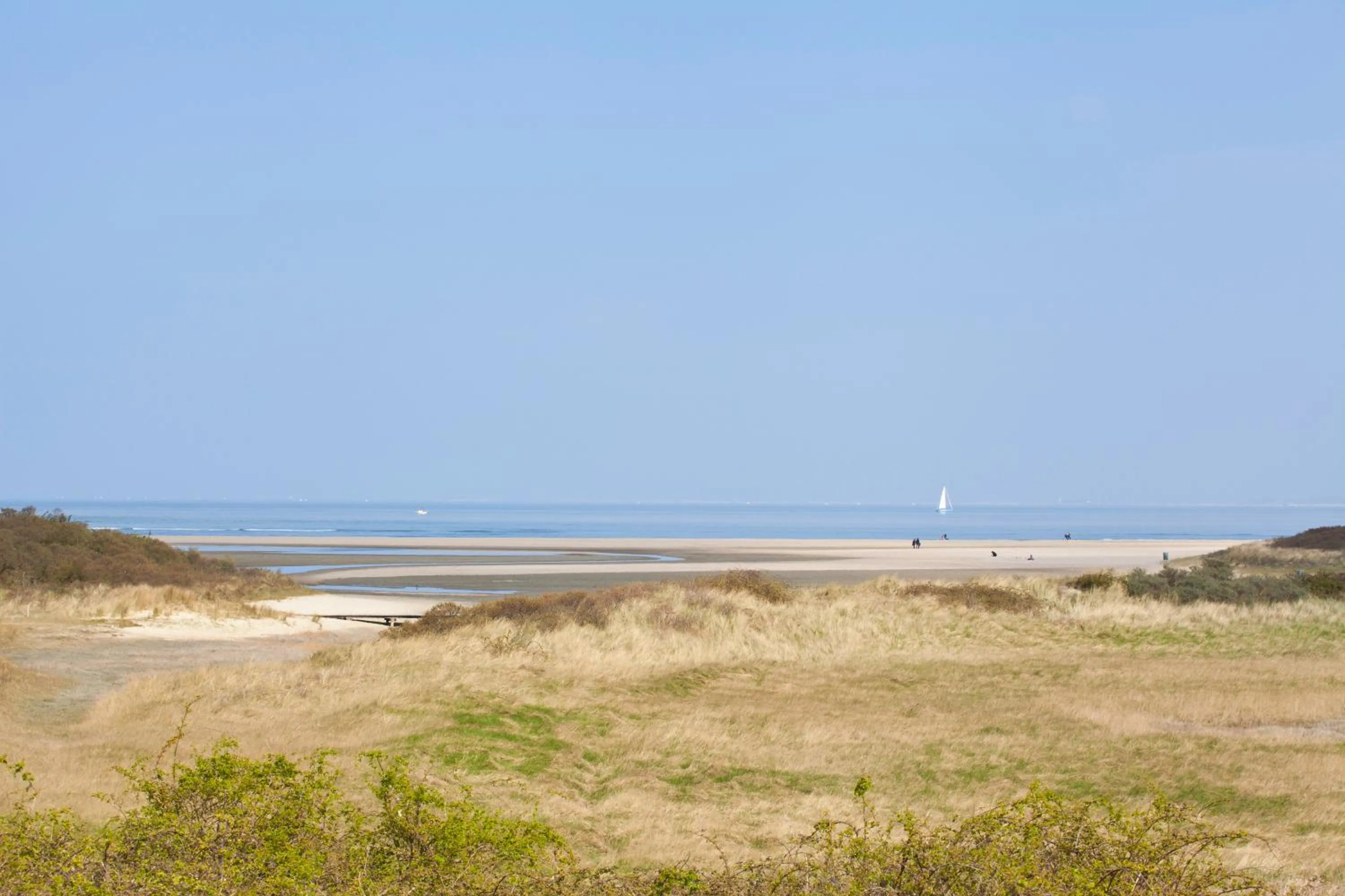 Beach in EuroParcs Schoneveld