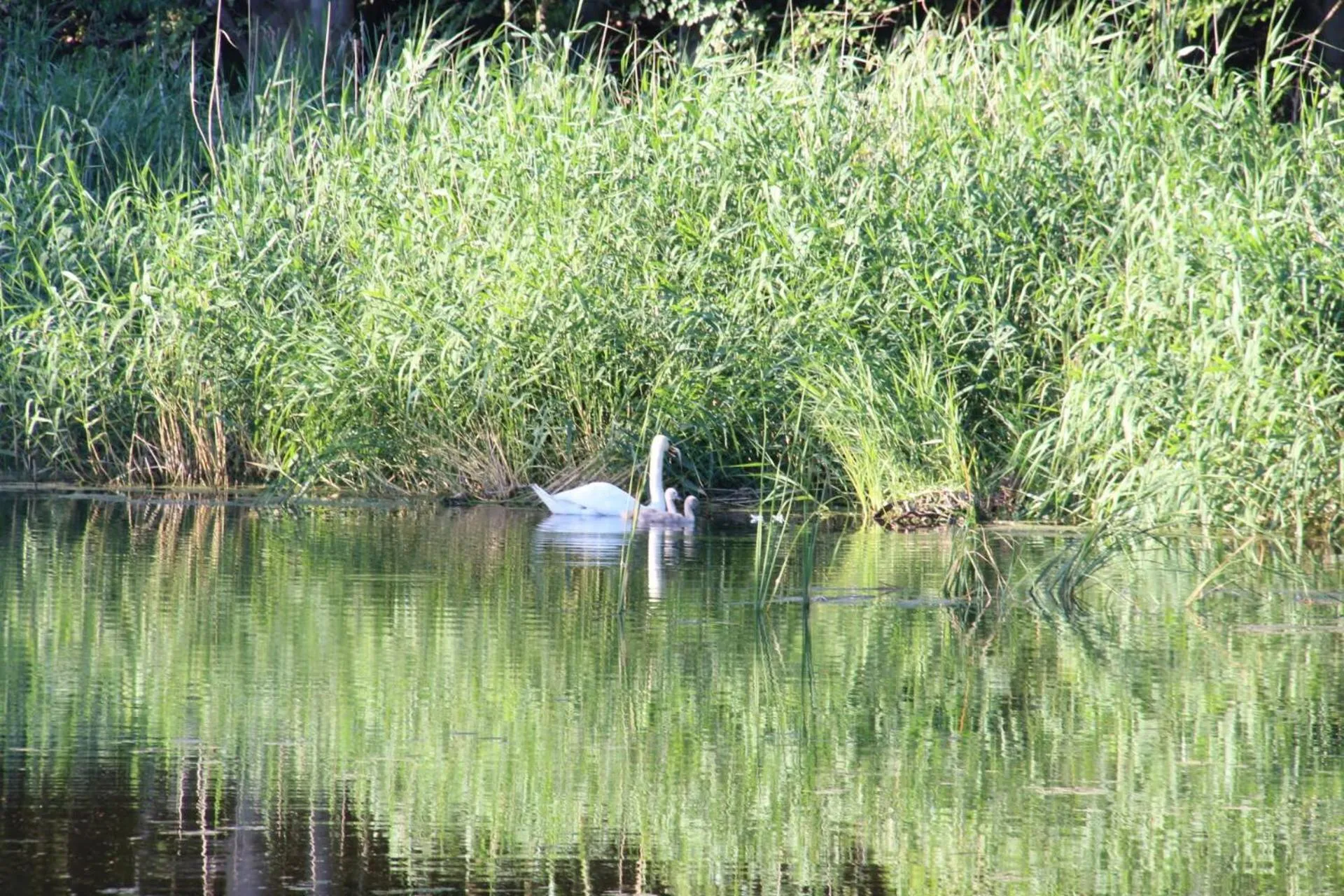 Nearby landmark in Piccobello Bed & Breakfast Valløby Køge