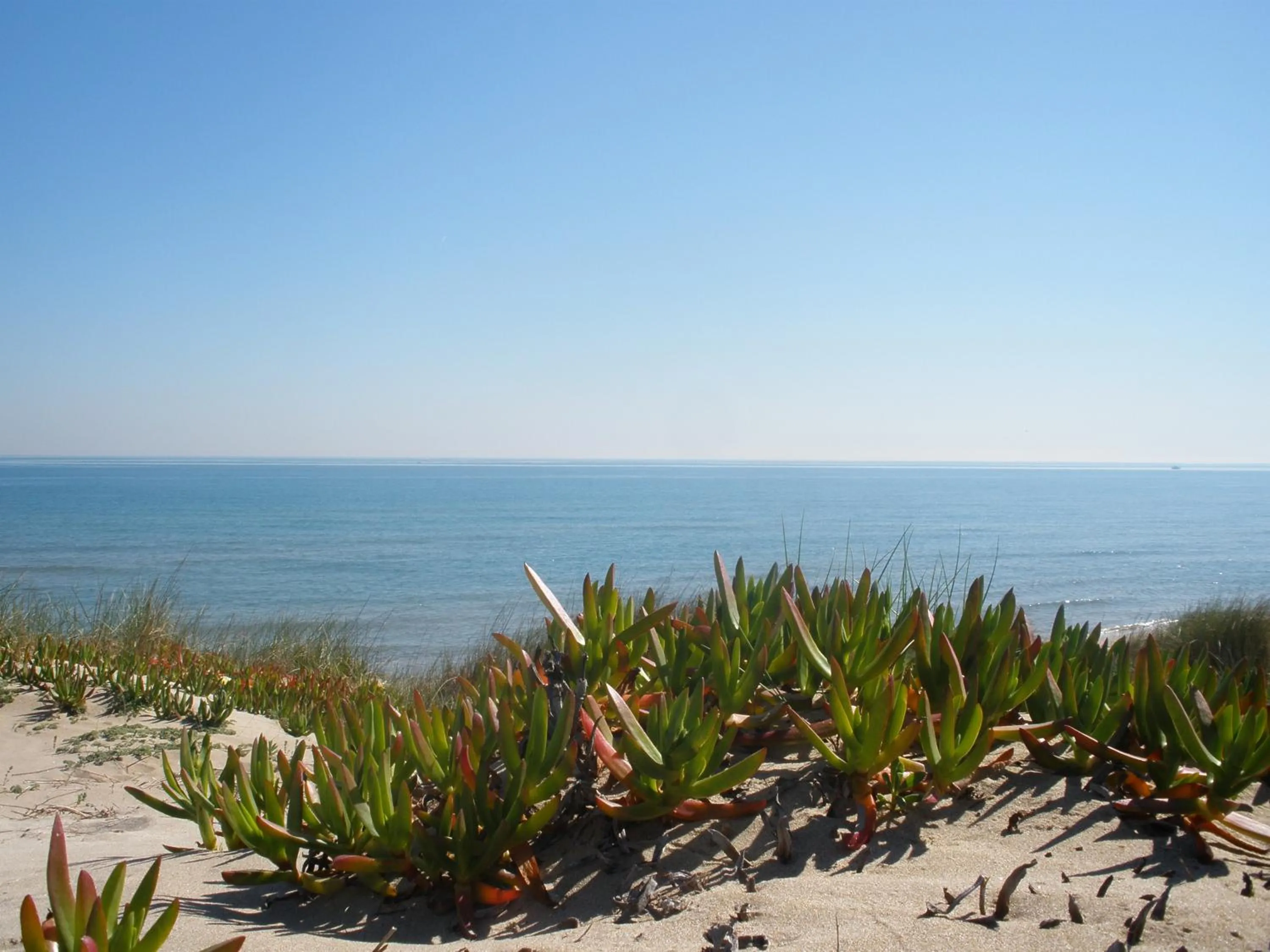 Natural landscape in Alqueria de Vilches