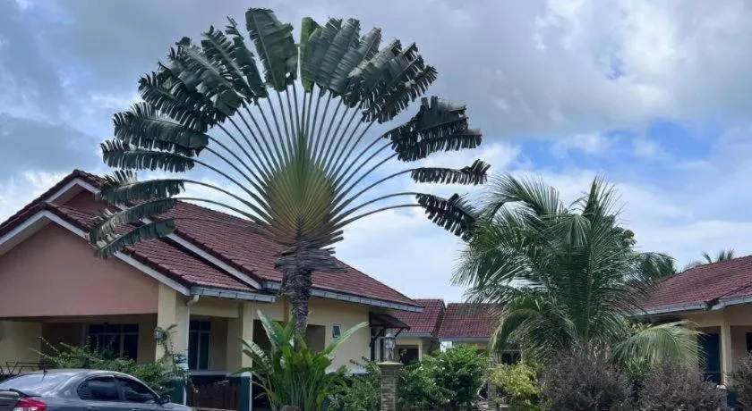 New Dawn For Langkawi