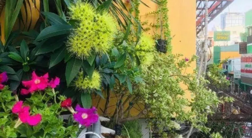 Son Tung Hotel - De Tham Street