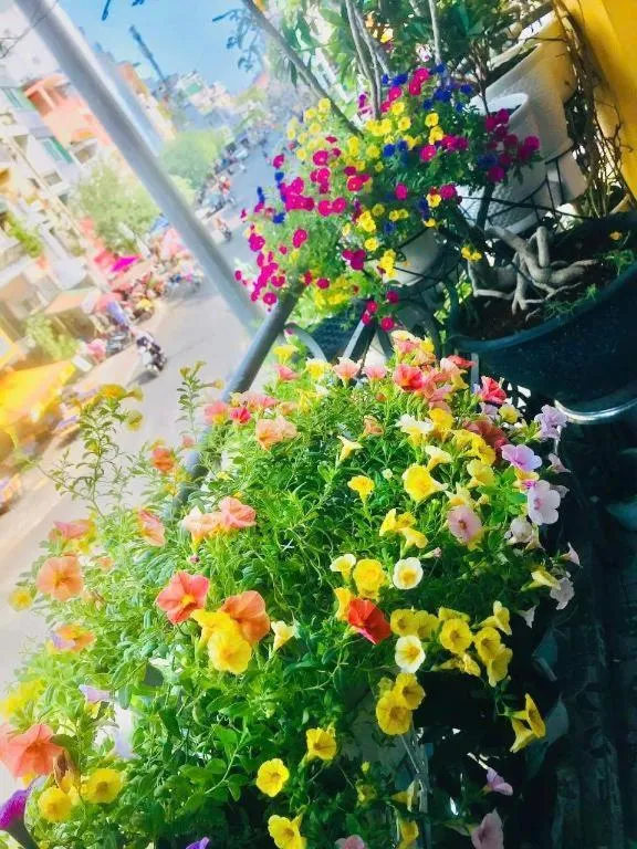 Son Tung Hotel - De Tham Street