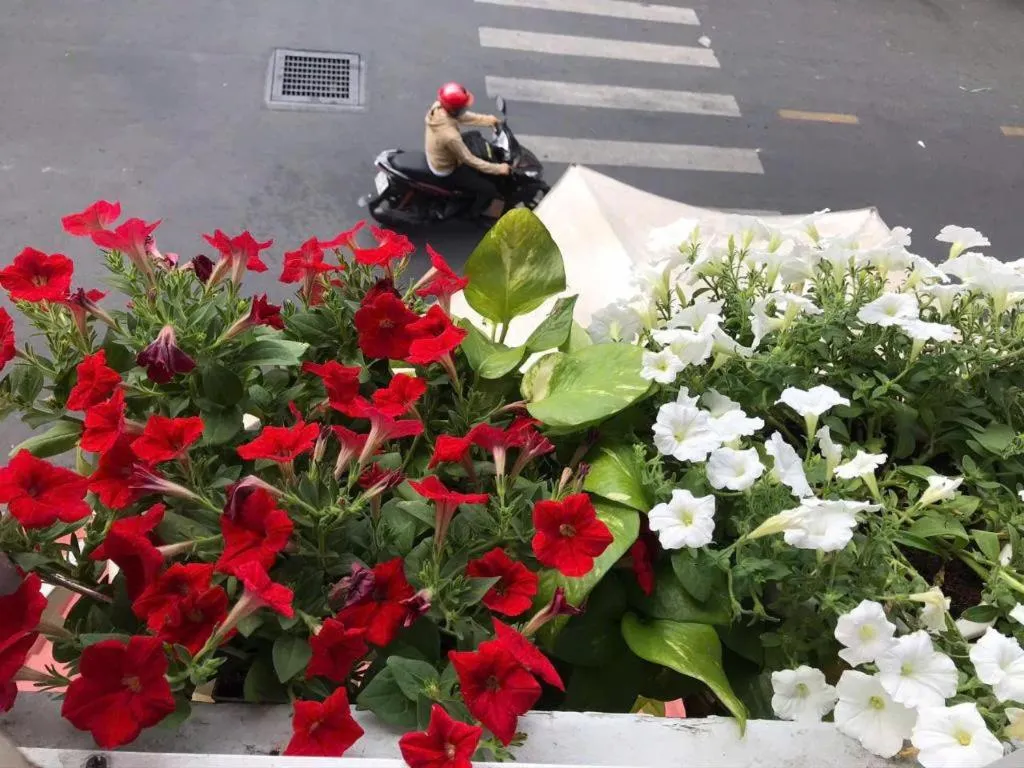 Son Tung Hotel - De Tham Street