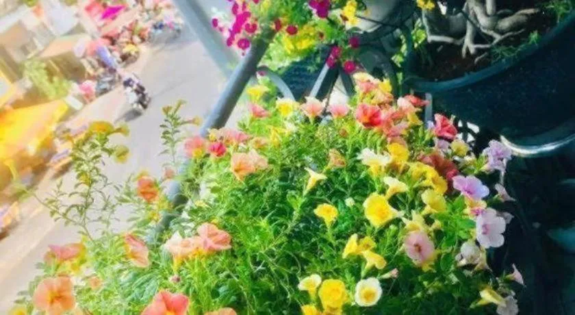 Son Tung Hotel - De Tham Street