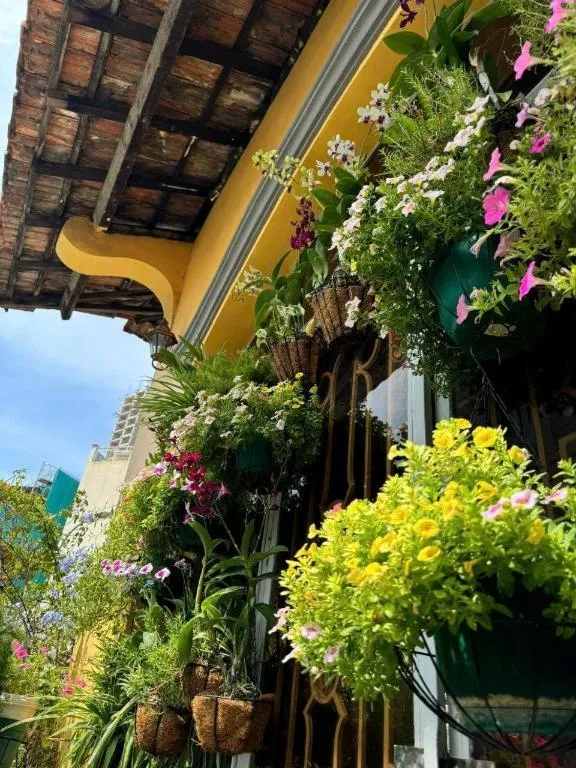 Son Tung Hotel - De Tham Street