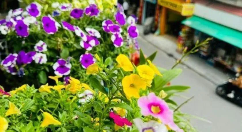 Son Tung Hotel - De Tham Street