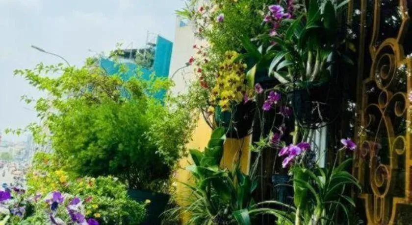 Son Tung Hotel - De Tham Street