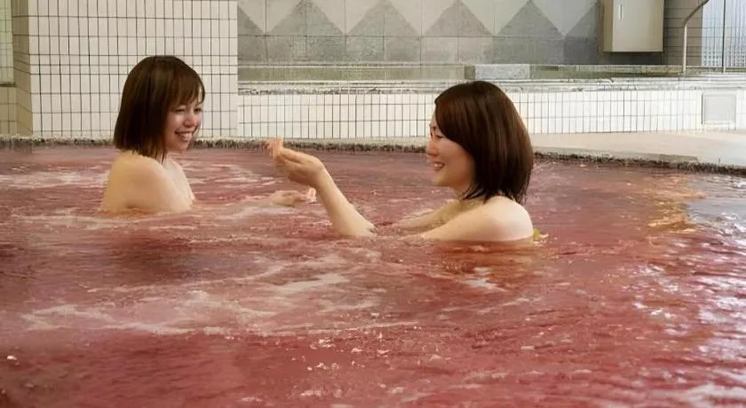 Spa Land Hotel Naito