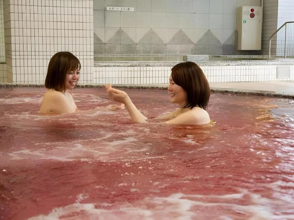 Spa Land Hotel Naito