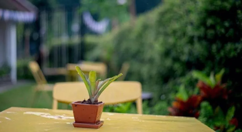 CoZy House Chiangrai