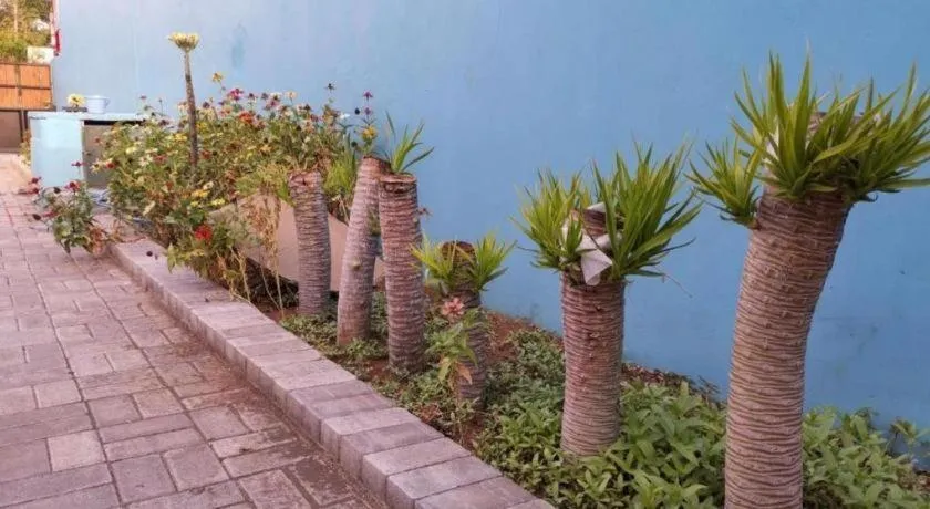 Hotel O Asipra House