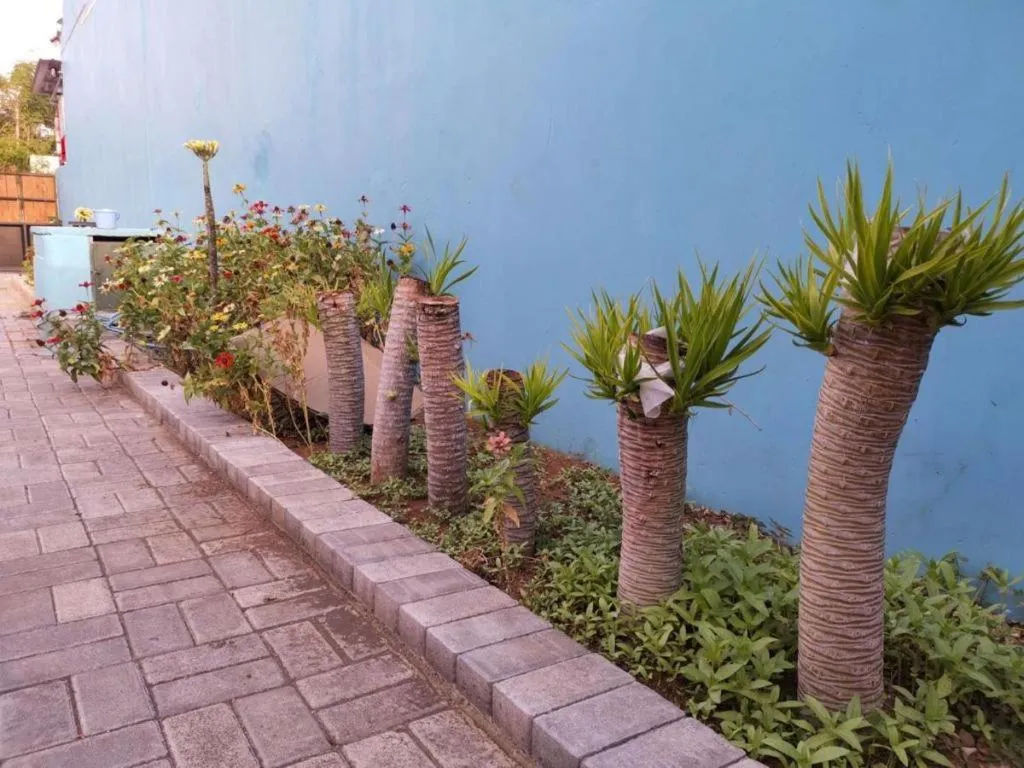 Hotel O Asipra House