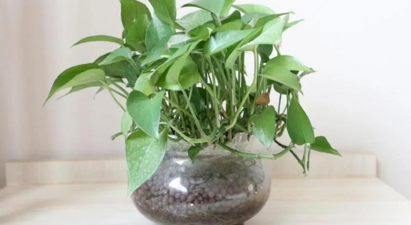 Jinjiang Inn Tianjin Changjiang Avenue