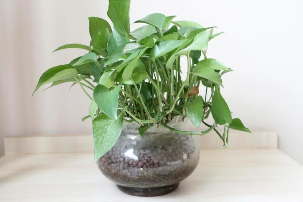 Jinjiang Inn Tianjin Changjiang Avenue