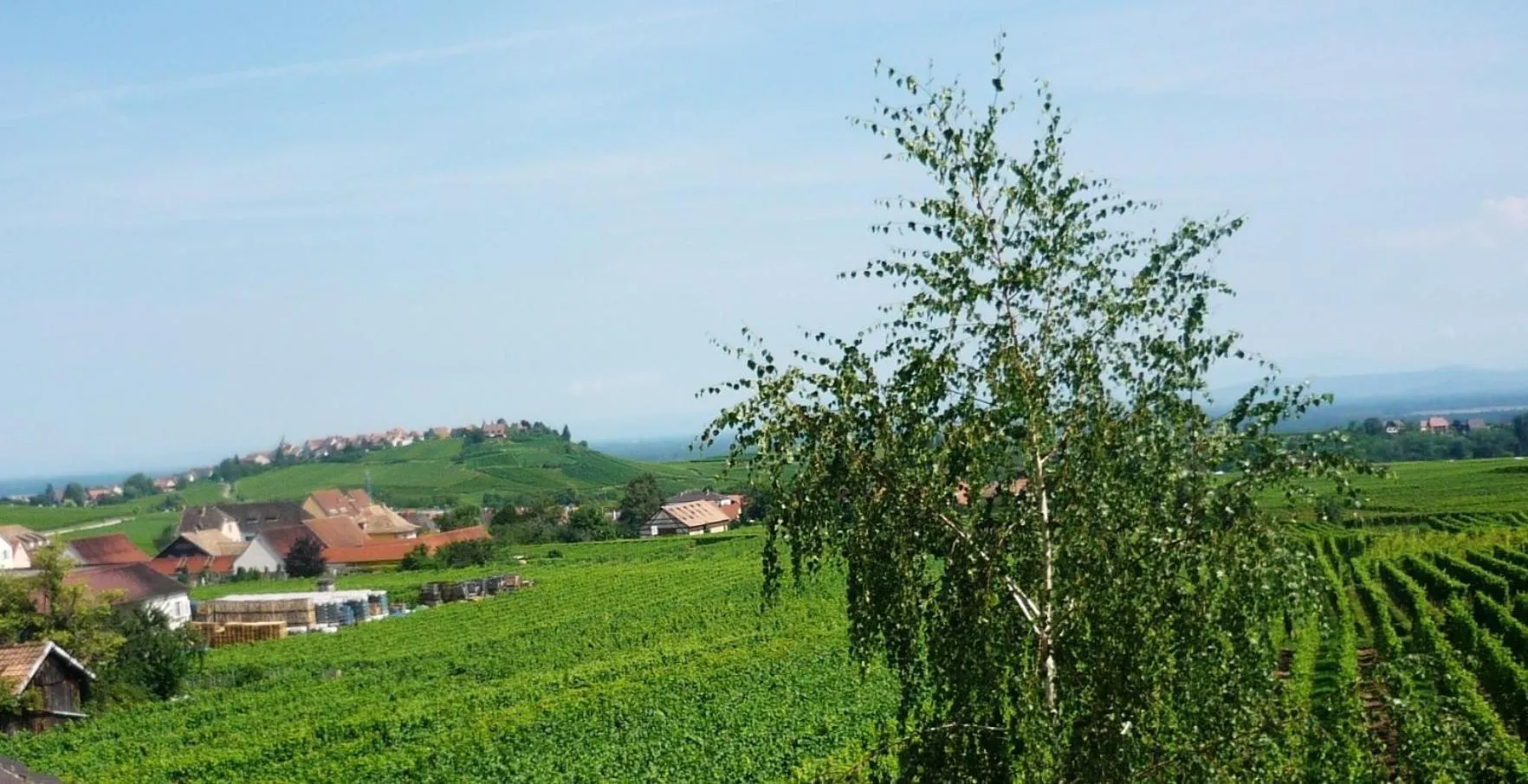 Other in Chambres D'hotes Du Vignoble