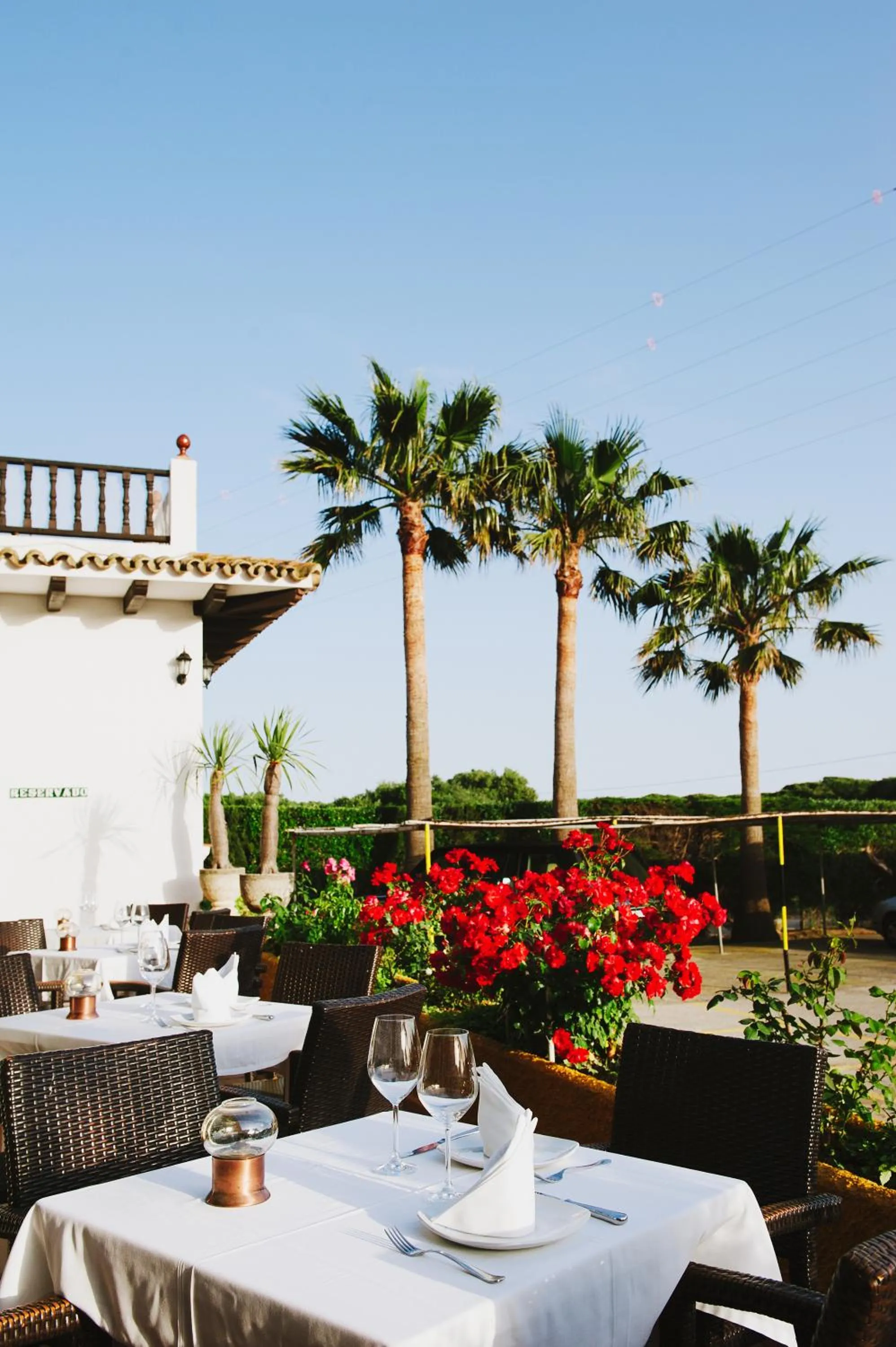 Restaurant/places to eat in La Codorniz