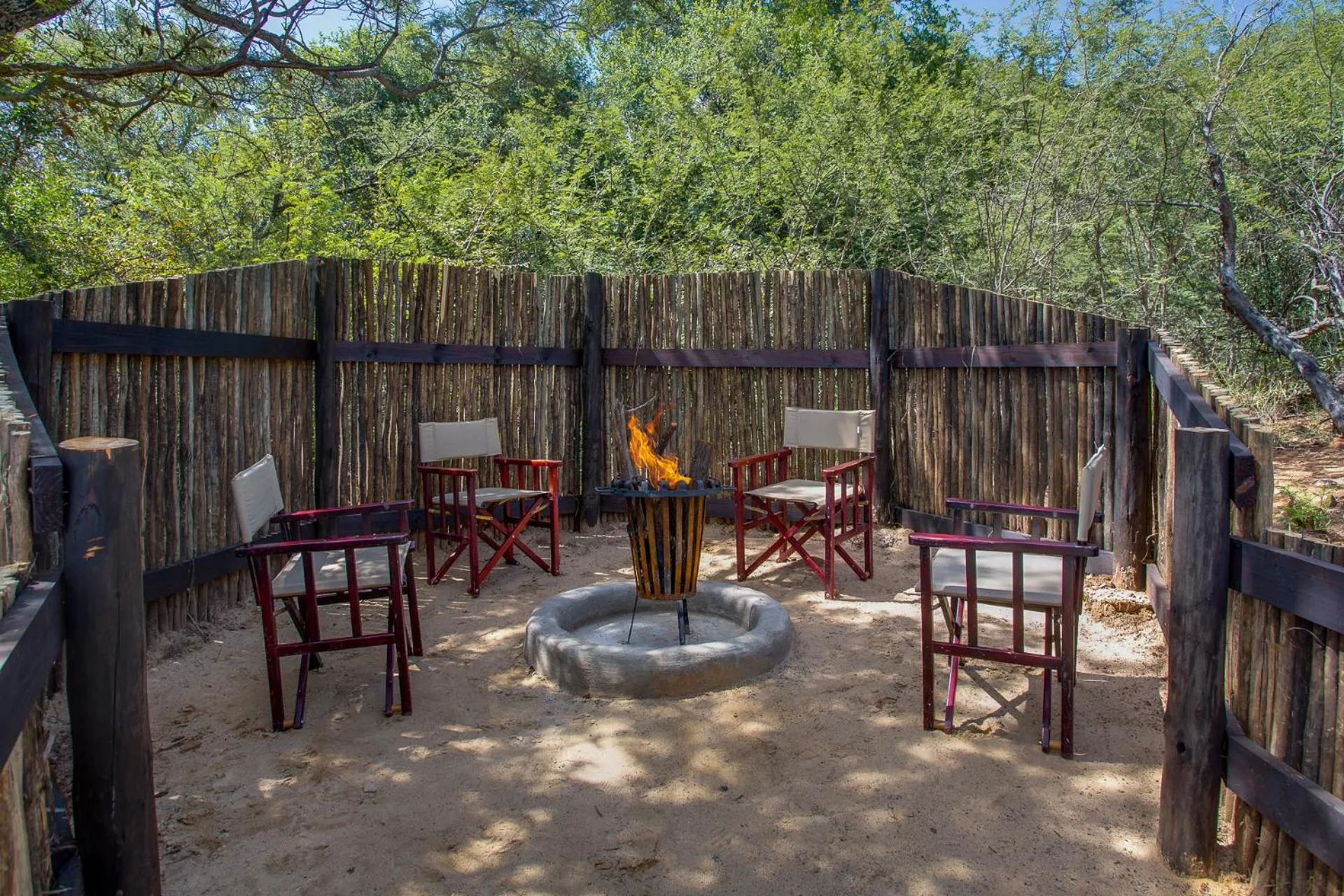 Other in Shepherds Tree Game Reserve