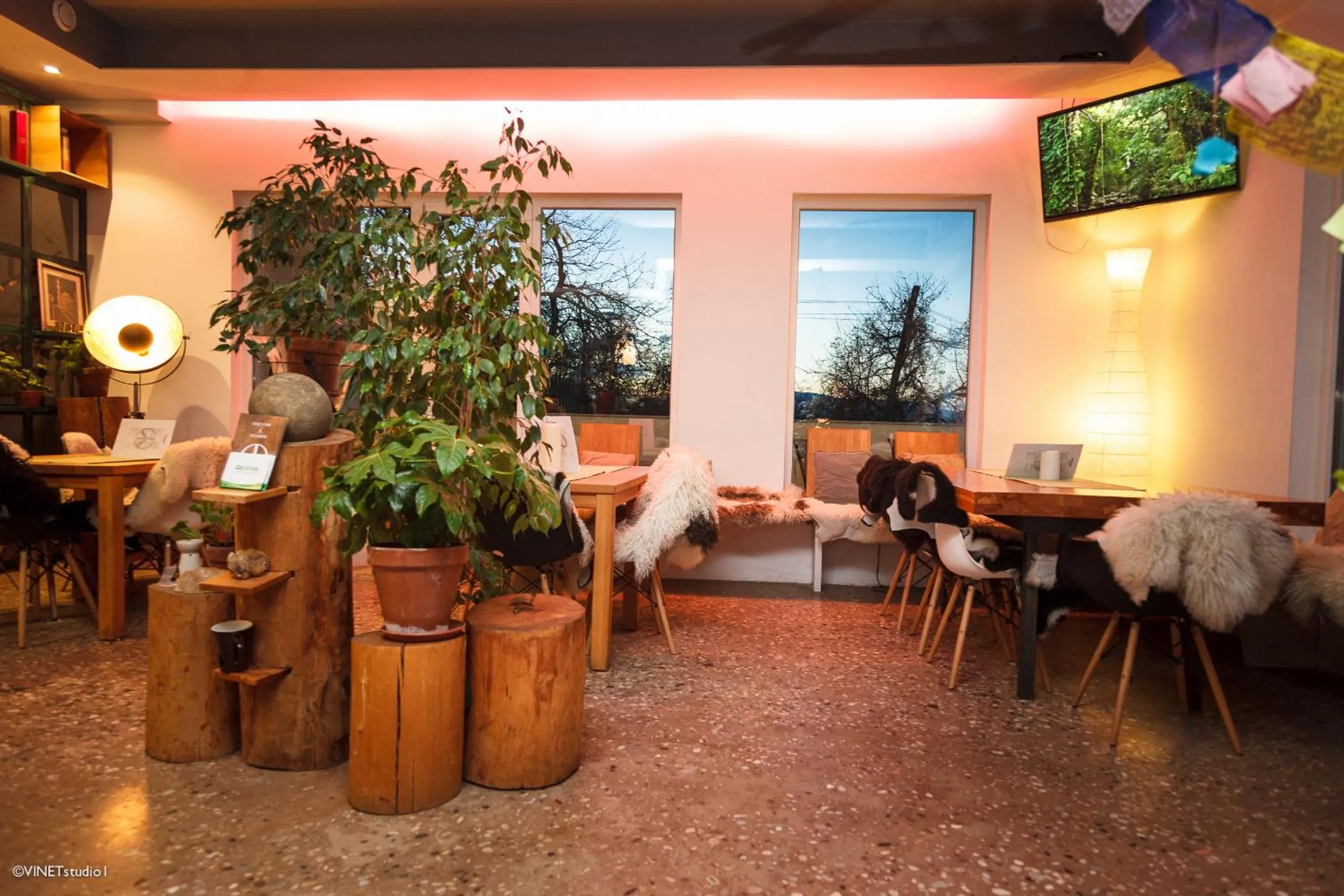 Restaurant/places to eat in HOTEL Pyramid Lodge