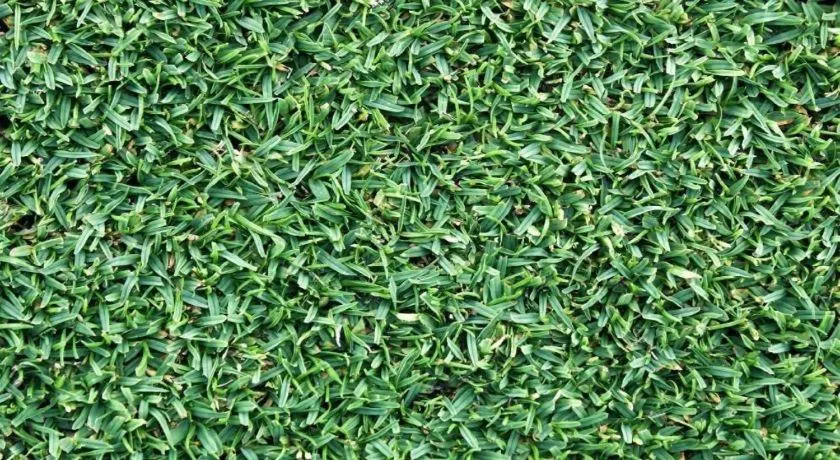 Clark Imperial Hotel