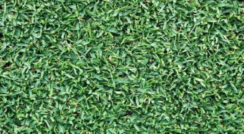 Clark Imperial Hotel