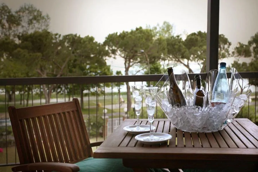 Balcony/Terrace in Hotel Suisse