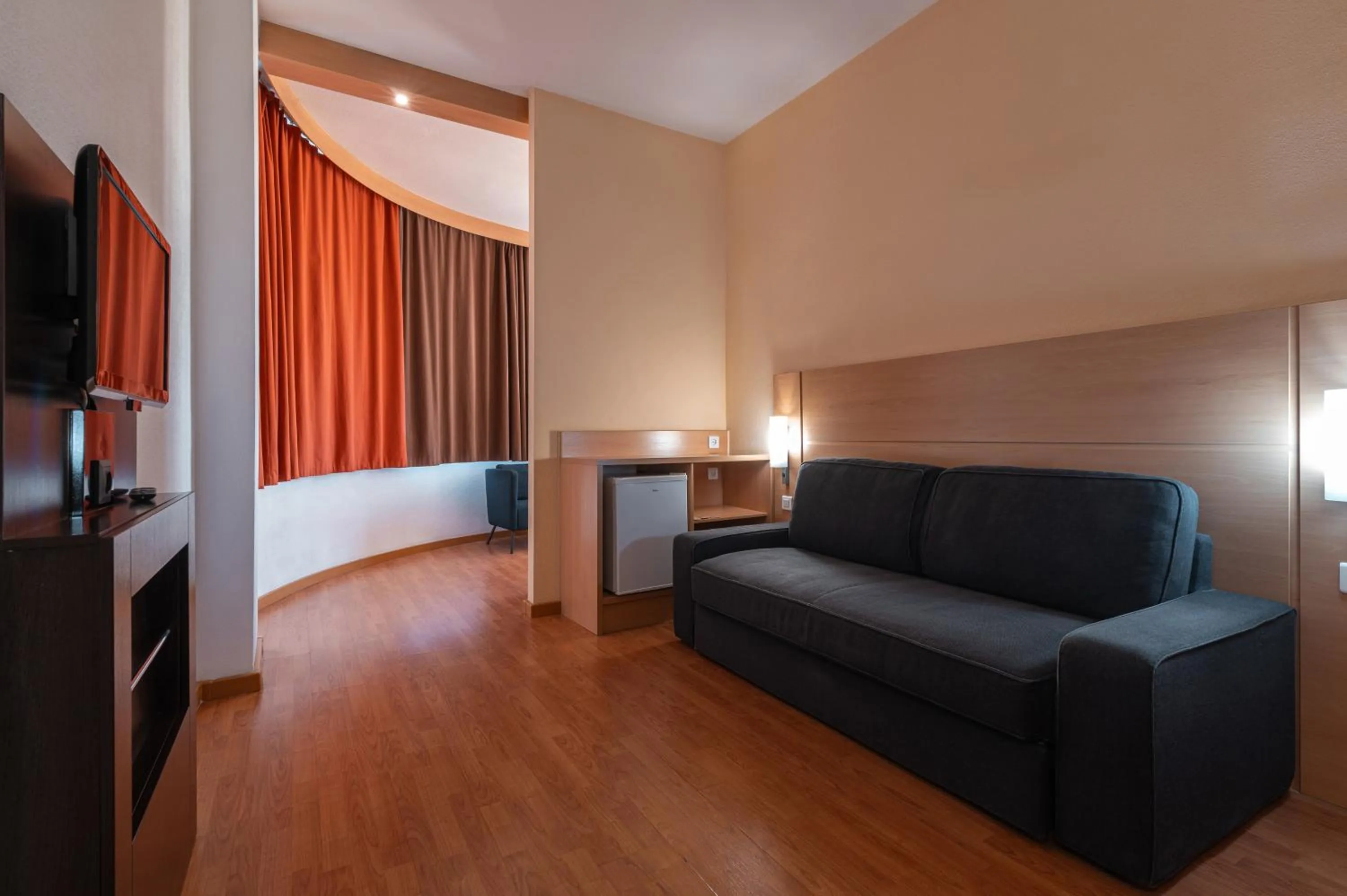 TV and multimedia in Ibis Astana