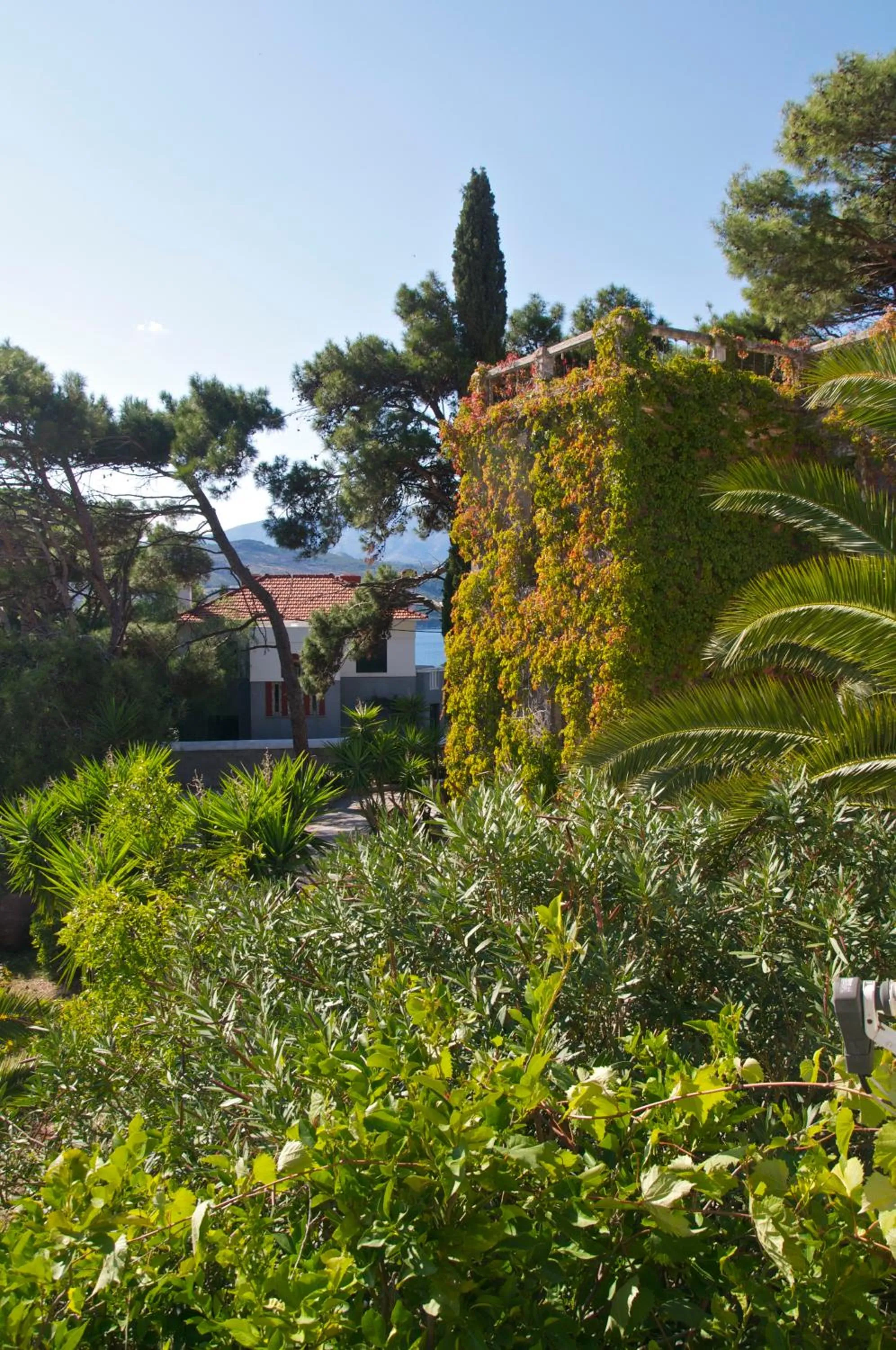 Garden in Ino Hotel & Suites