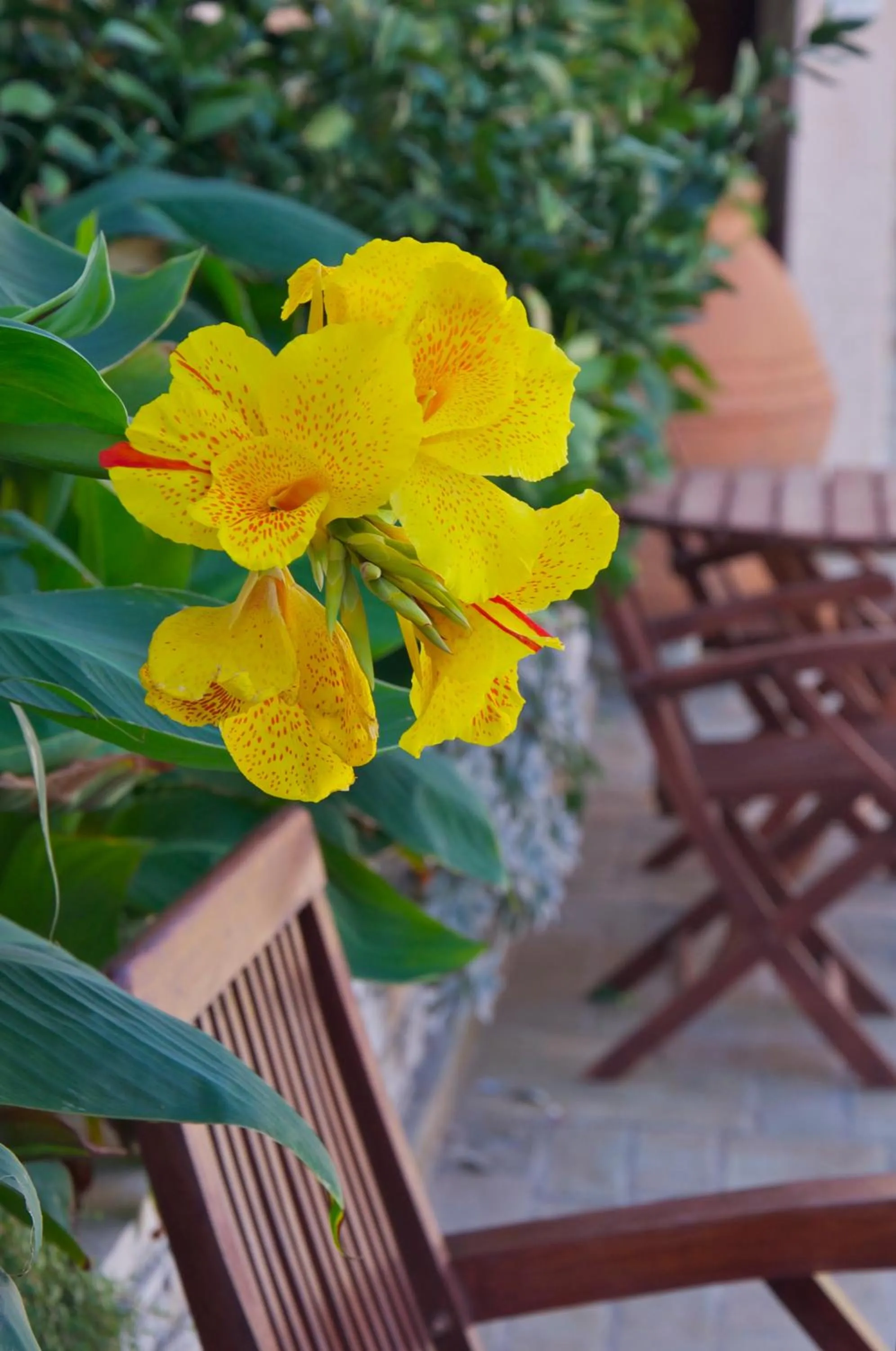 Other in Ino Hotel & Suites