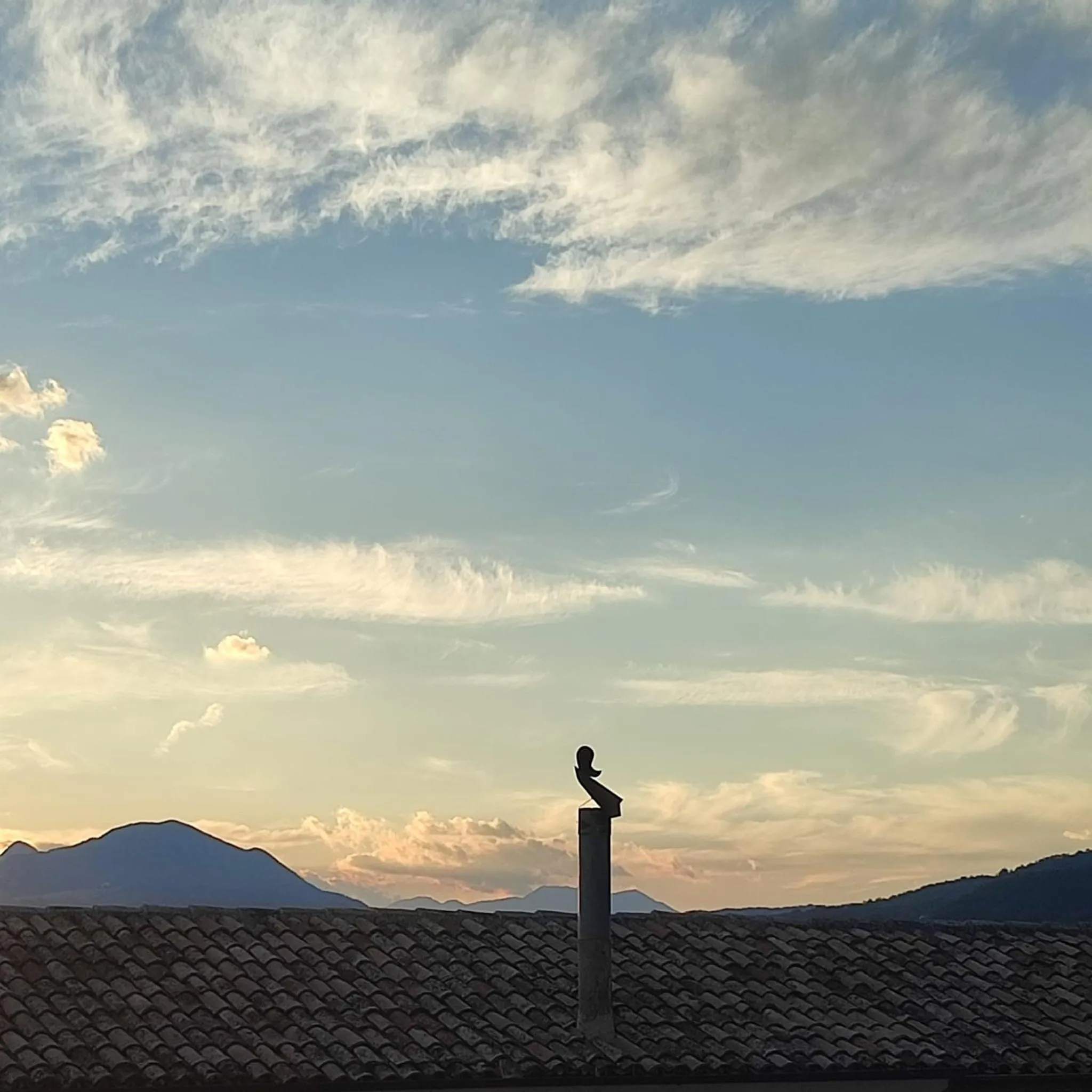 Natural landscape in B&B Le Ginestre