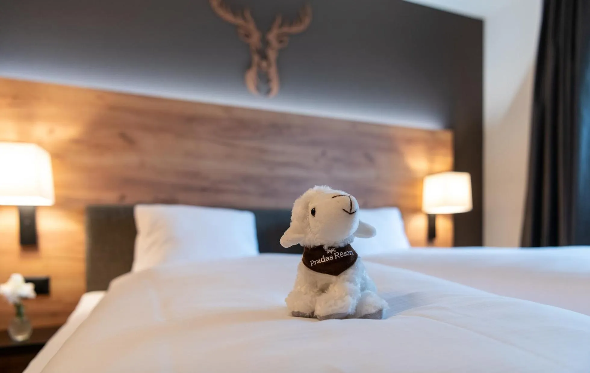 Bed in Pradas Resort Brigels