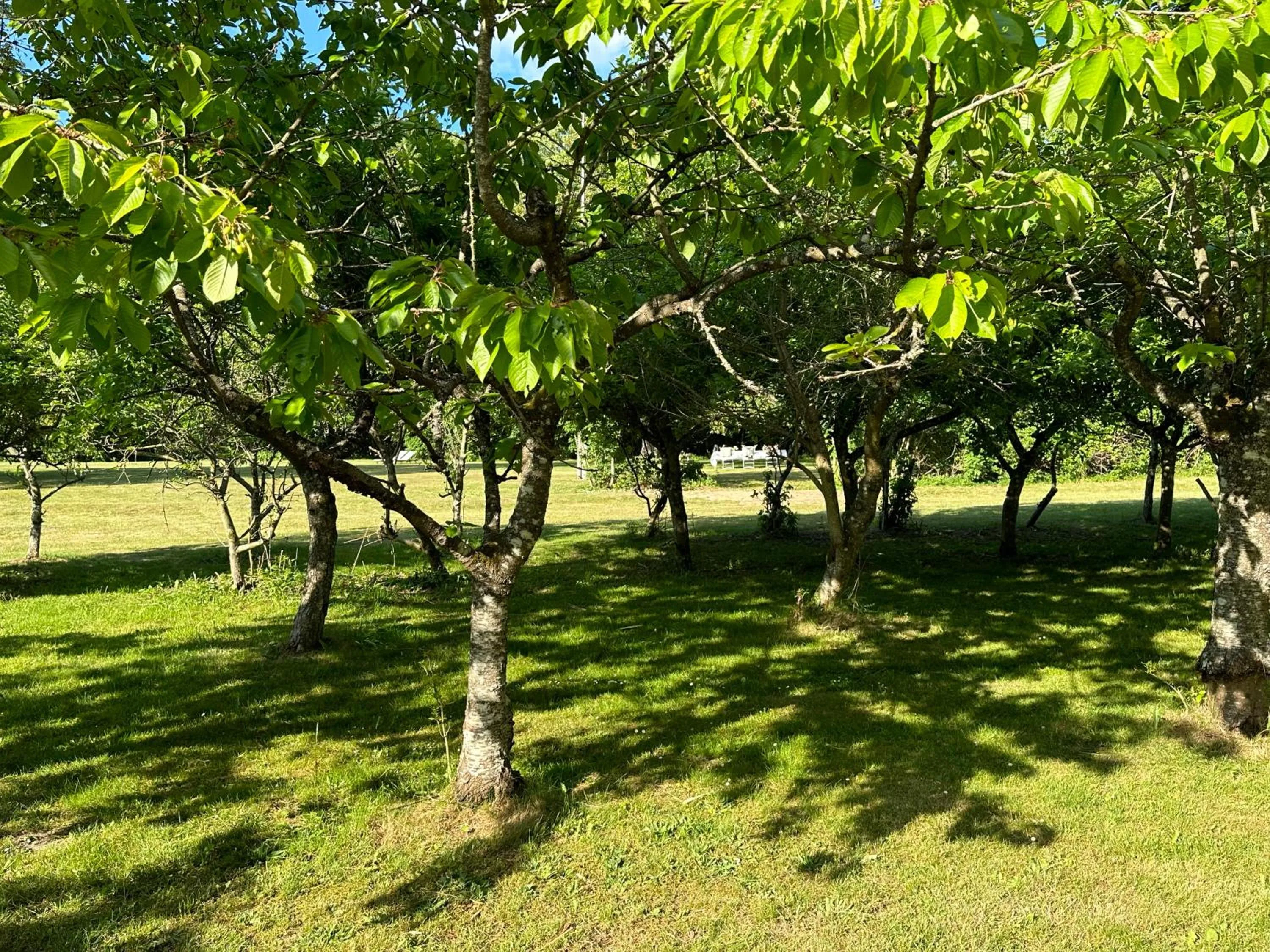 Garden in Lundsgaard Gods Badehotel