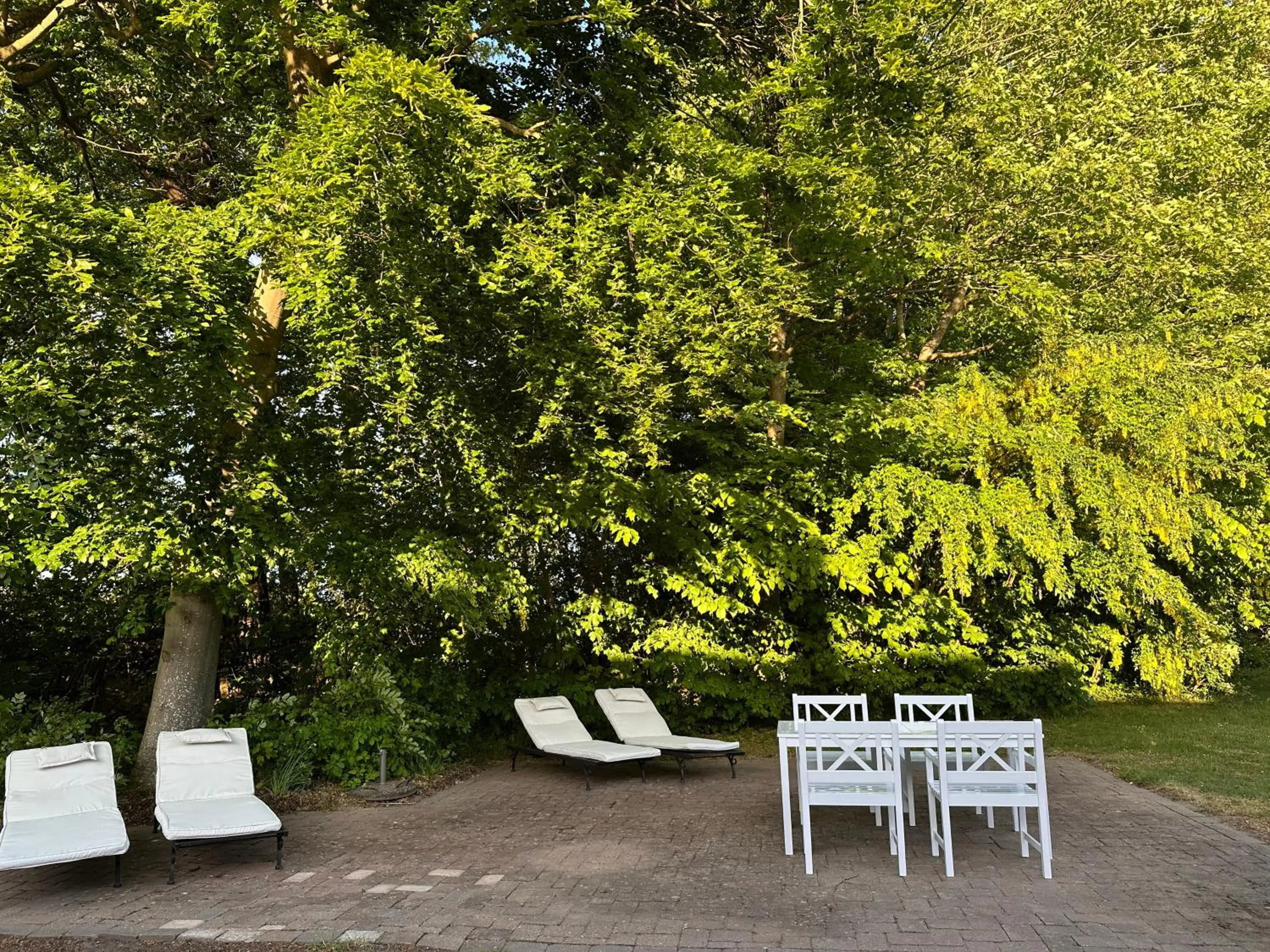 Garden in Lundsgaard Gods Badehotel