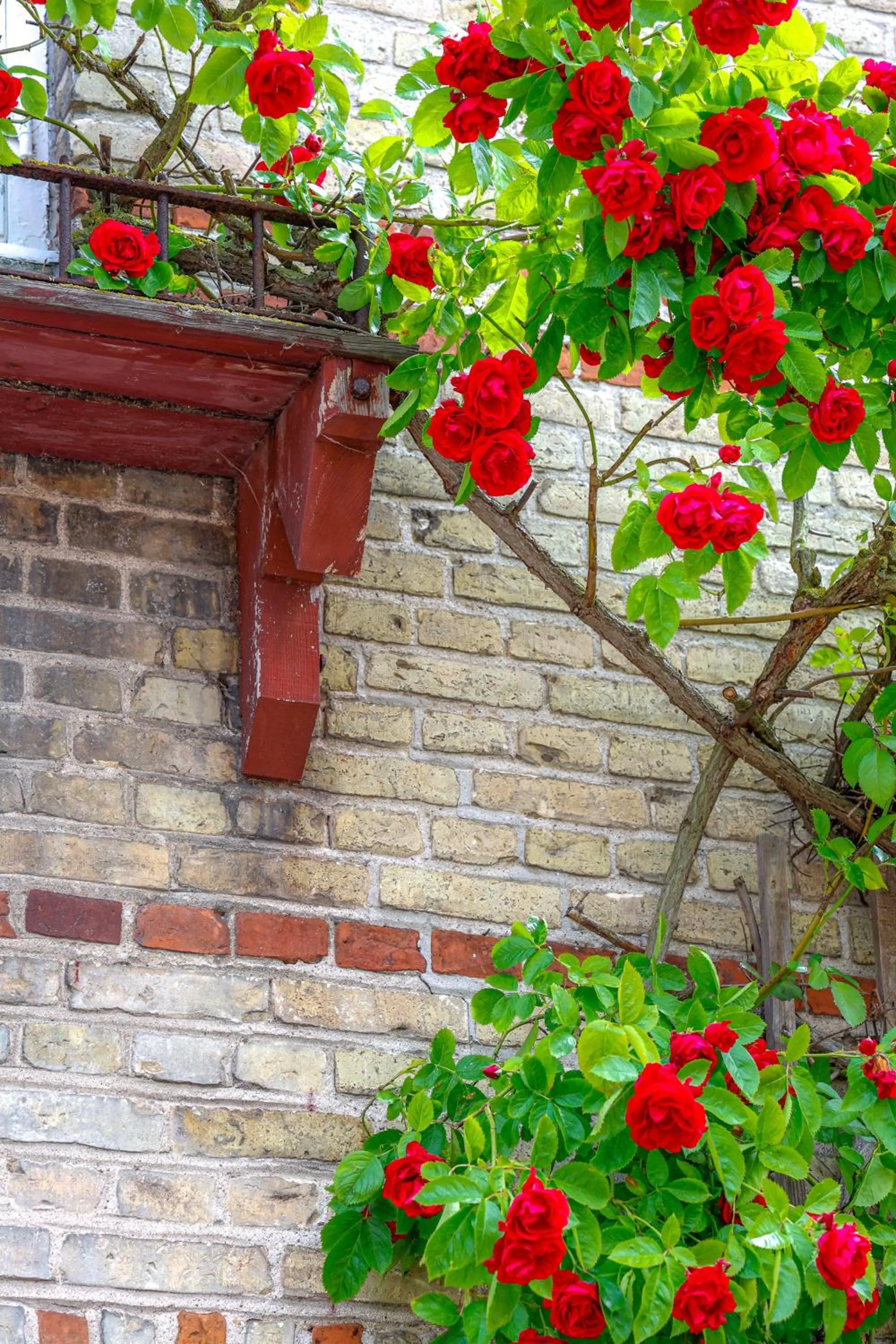 Property building in Lundsgaard Gods Badehotel