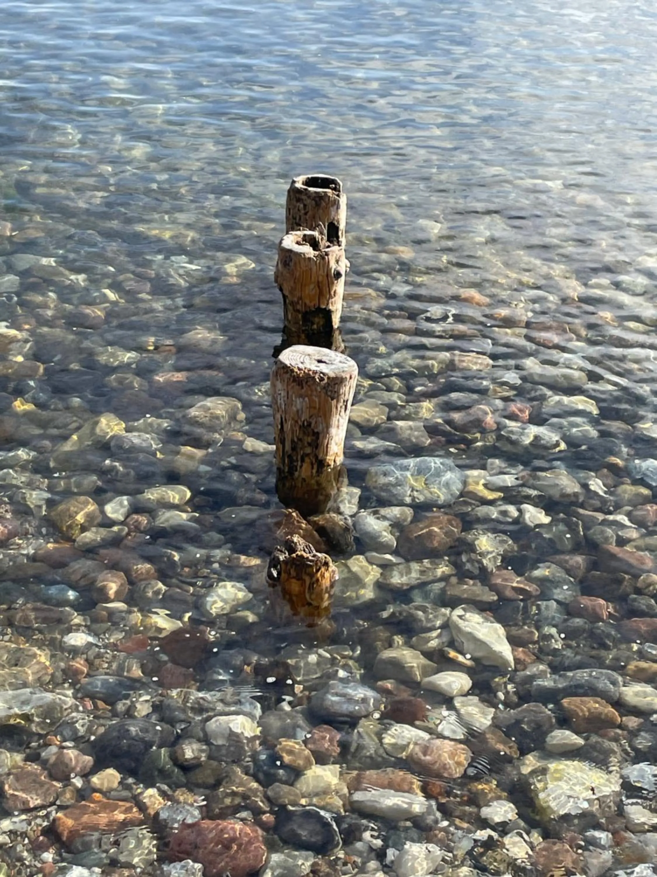 Natural landscape in Lundsgaard Gods Badehotel