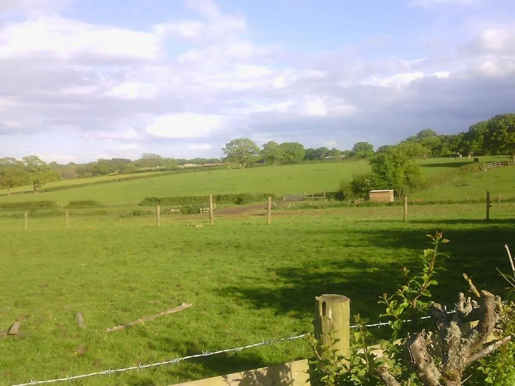 View (from property/room) in Beoley Lodge