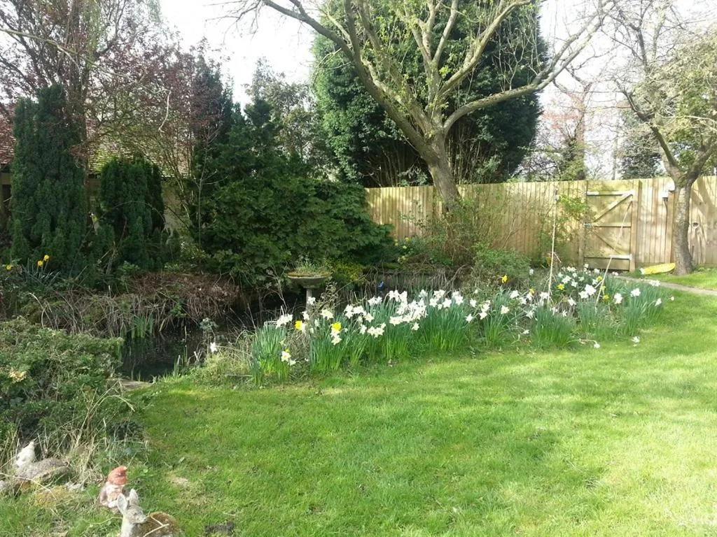 Property building in Beoley Lodge