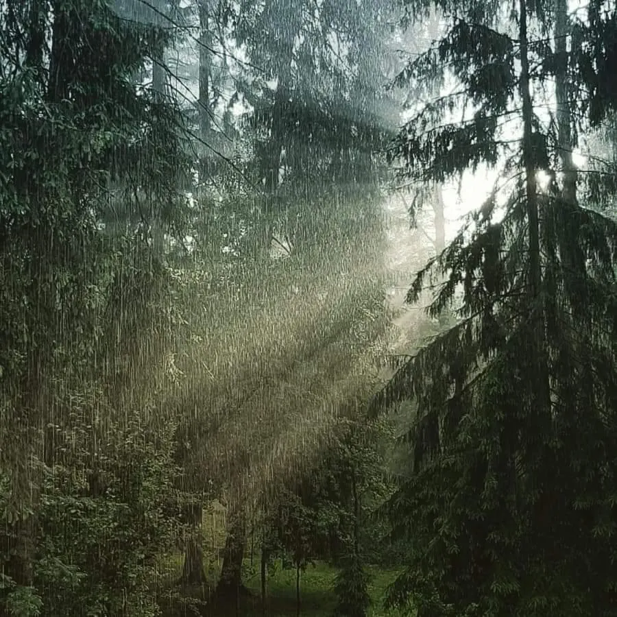 Natural landscape in Pensiunea Happy Inn