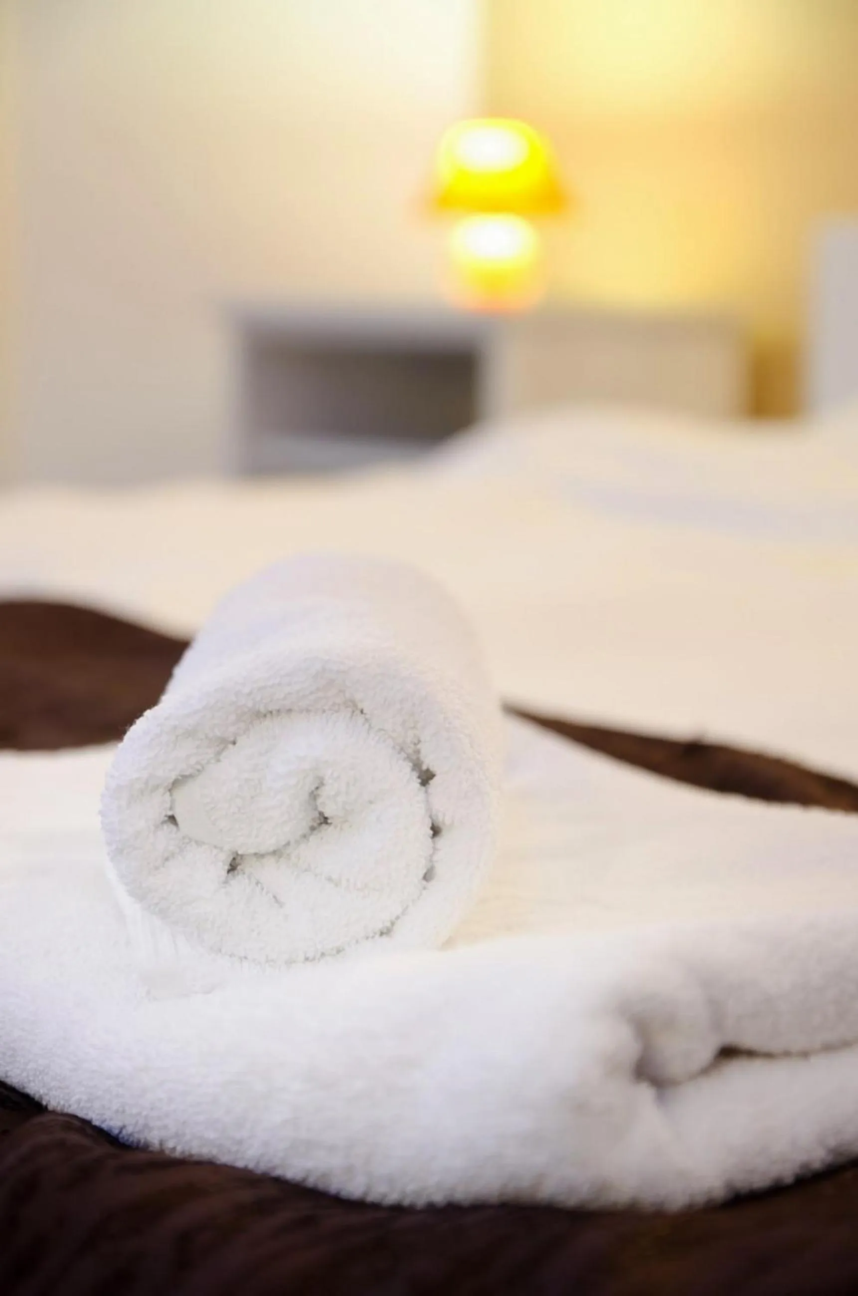 Decorative detail, Bed in Pensiunea Happy Inn