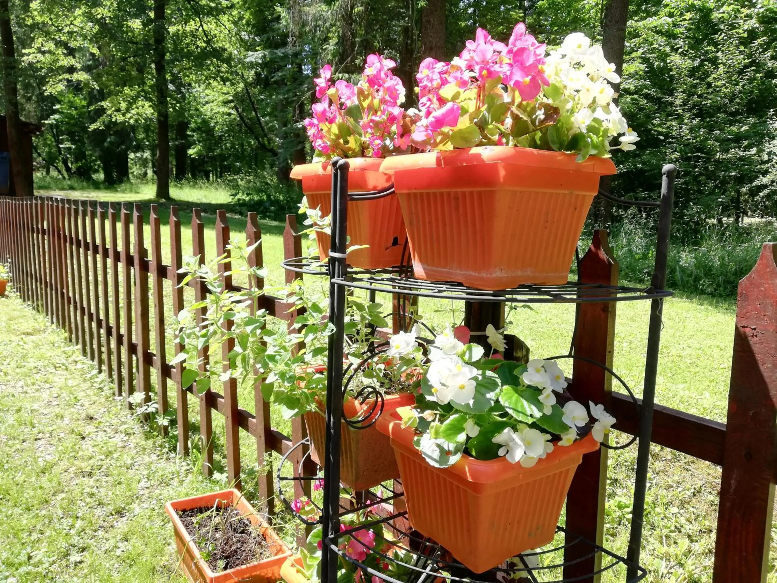 View (from property/room) in Pensiunea Happy Inn