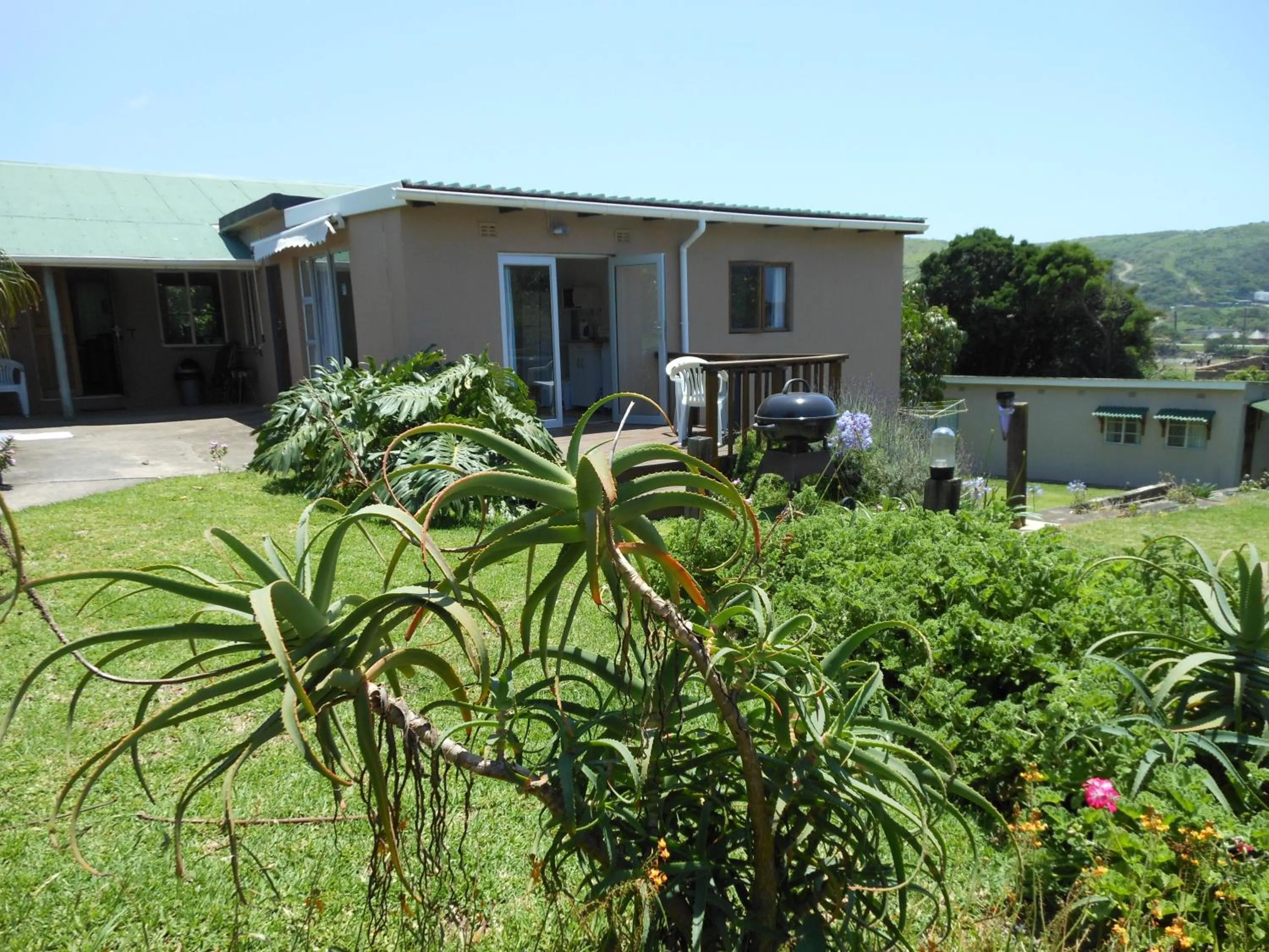 Garden in Geckos B&B and Self-catering